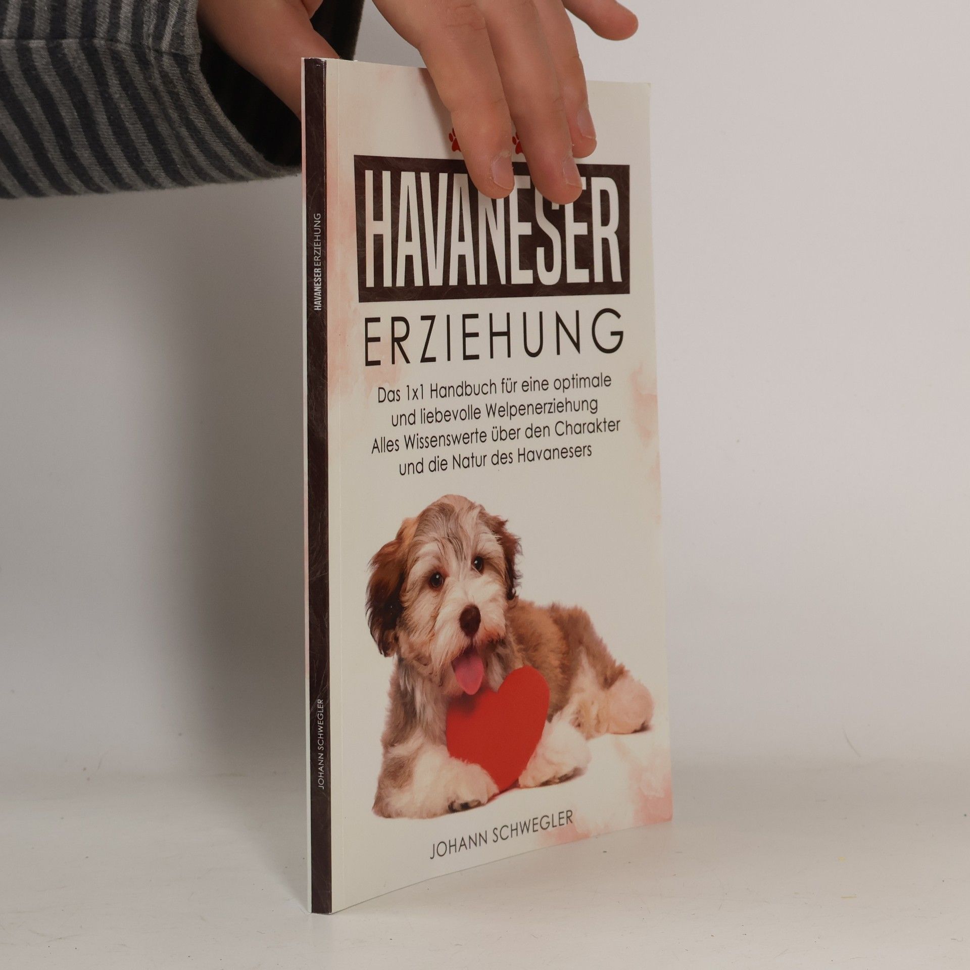 Havaneser Erziehung