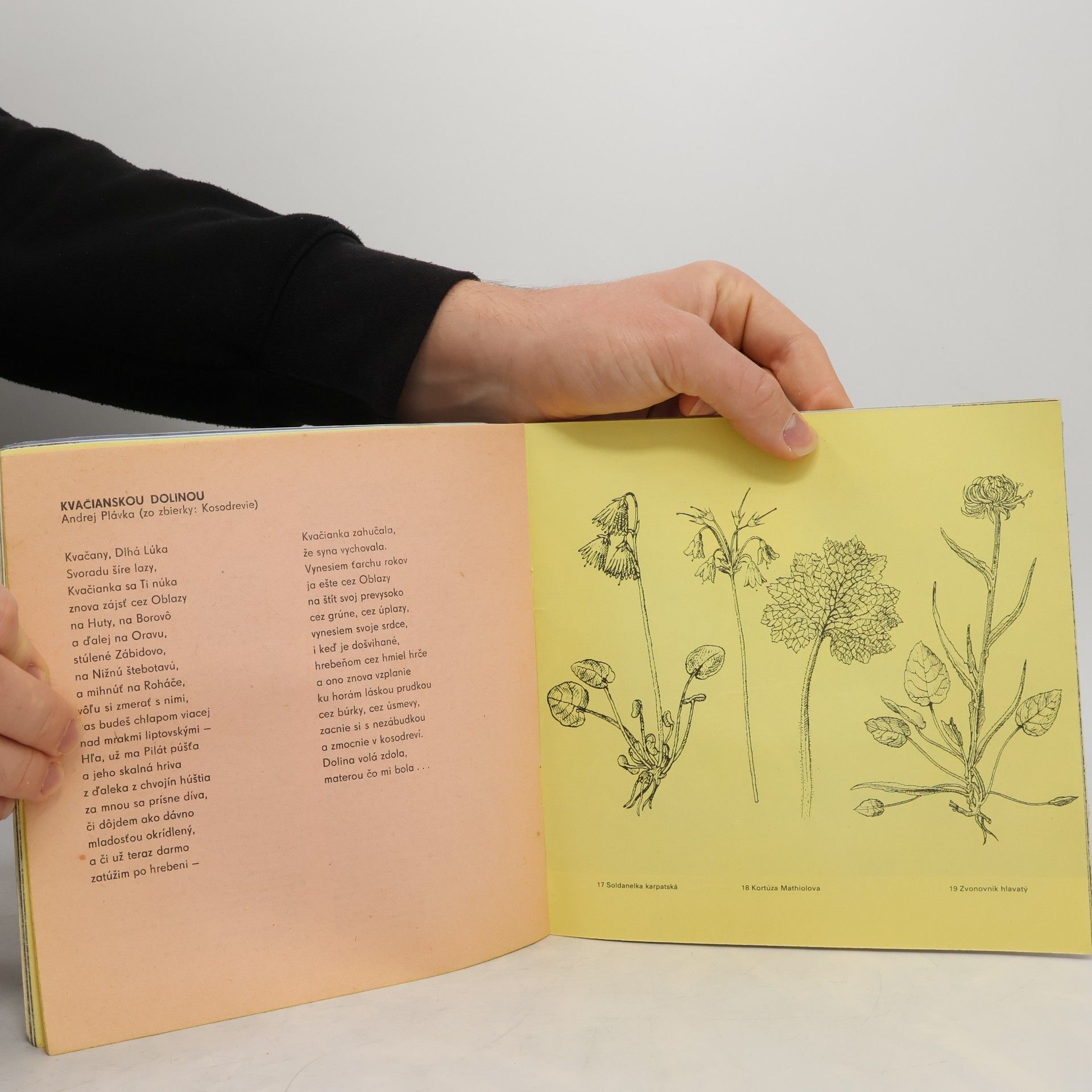 Various authors Prosiecka a Kvačianska dolina: sprievodca náučným chodníkom