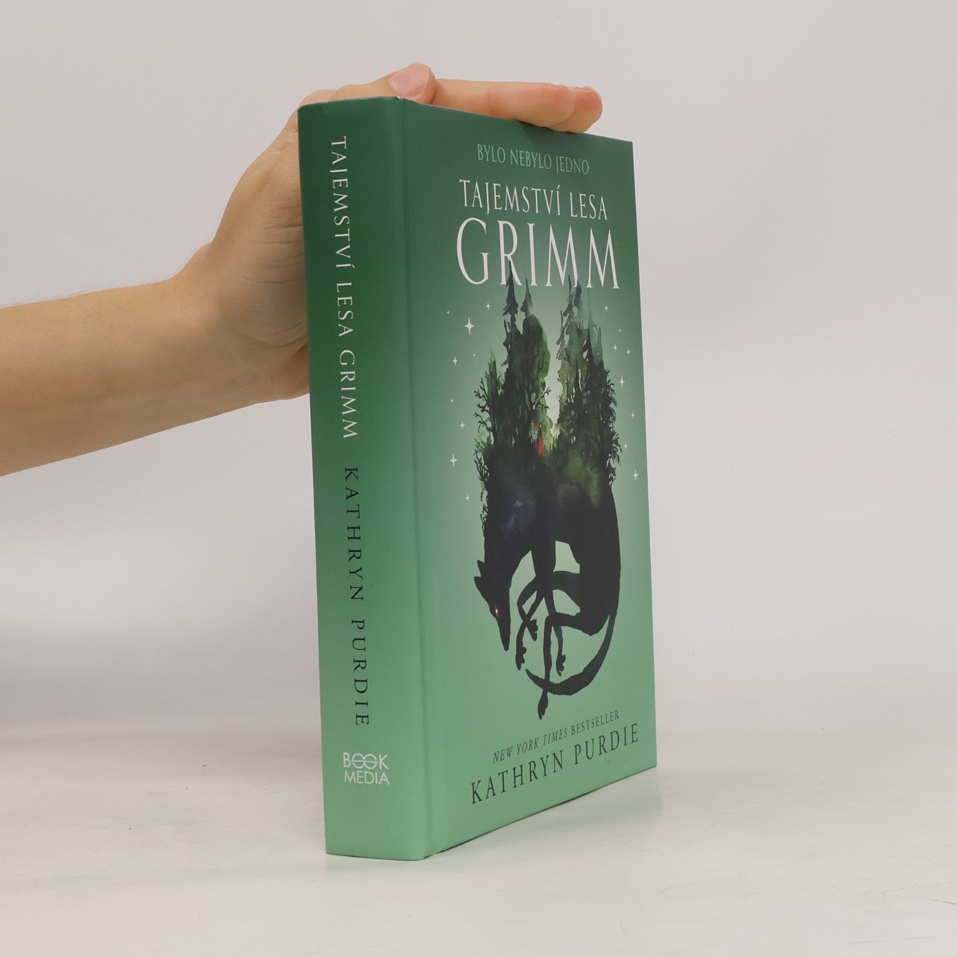 Tajemství lesa Grimm