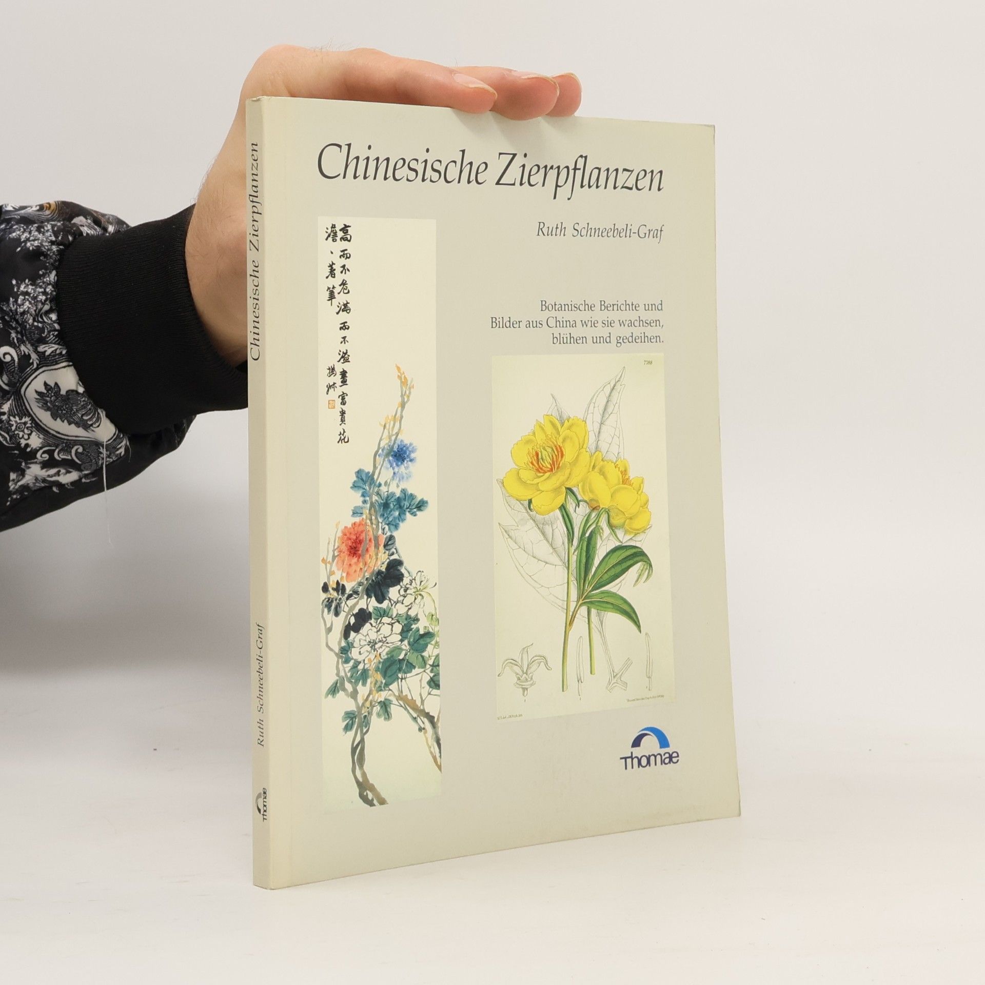 Zierpflanzen Chinas