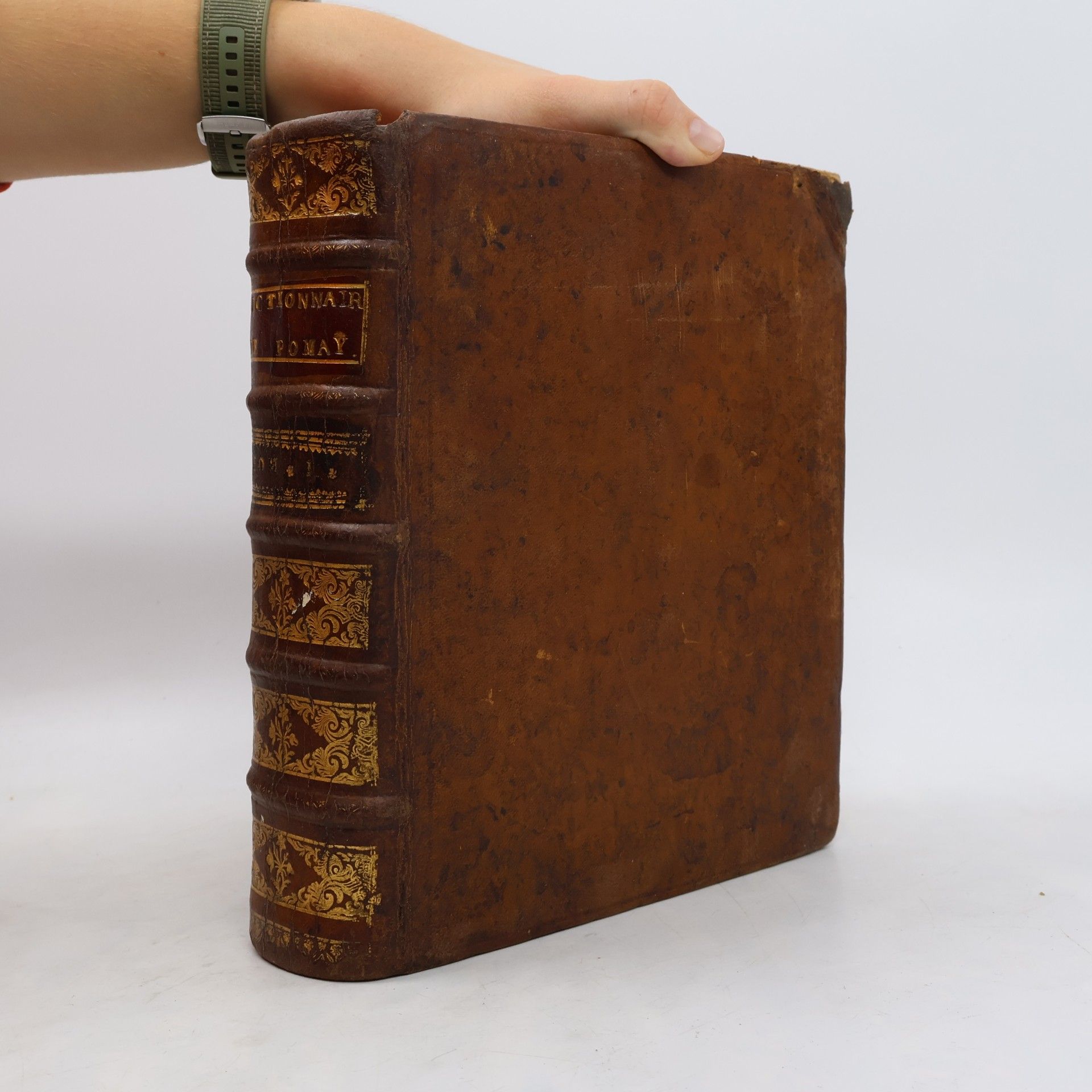 Le grand Dictionnaire Royal en trois Langues I