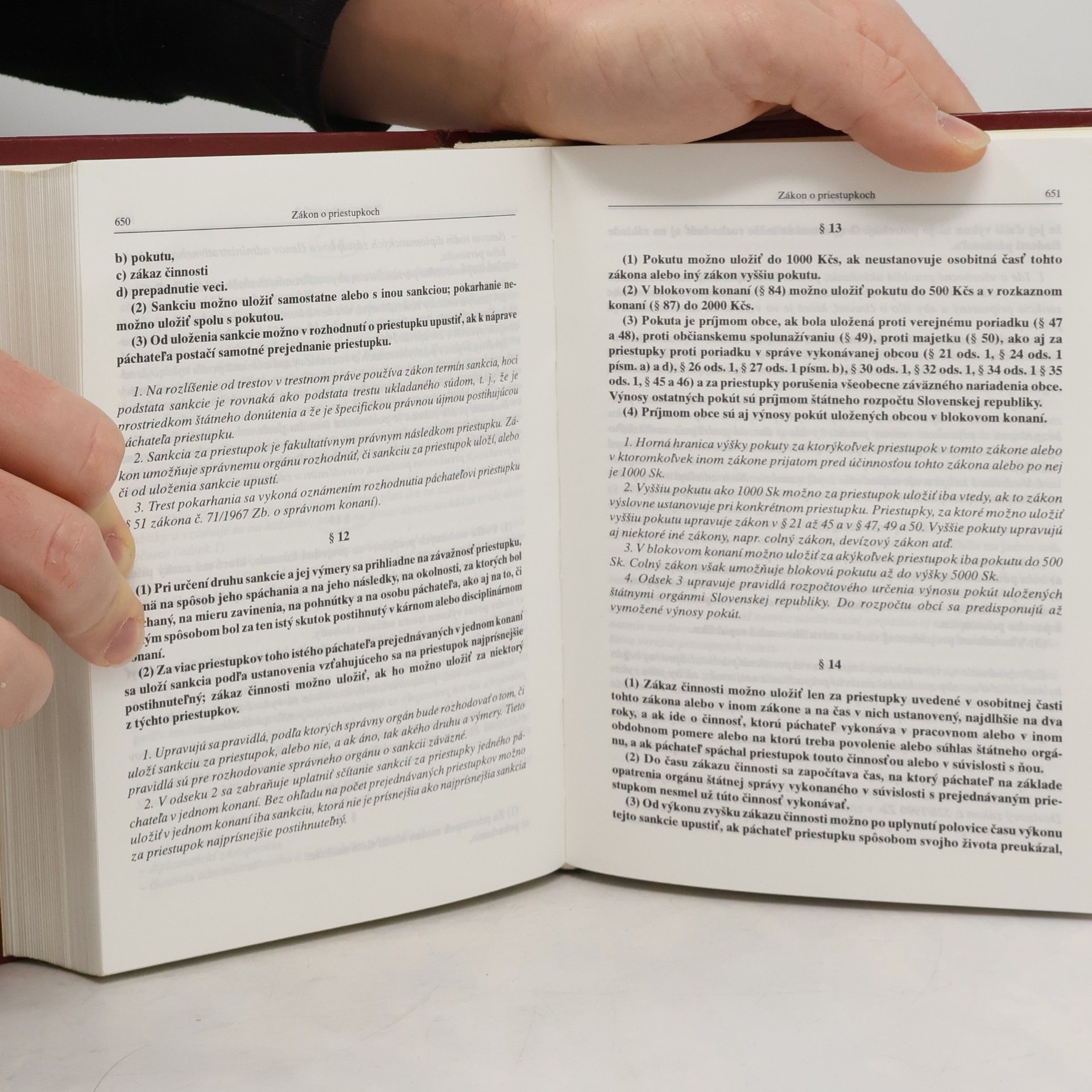 Autorenkollektiv Trestný zákon, Trestný podiadok