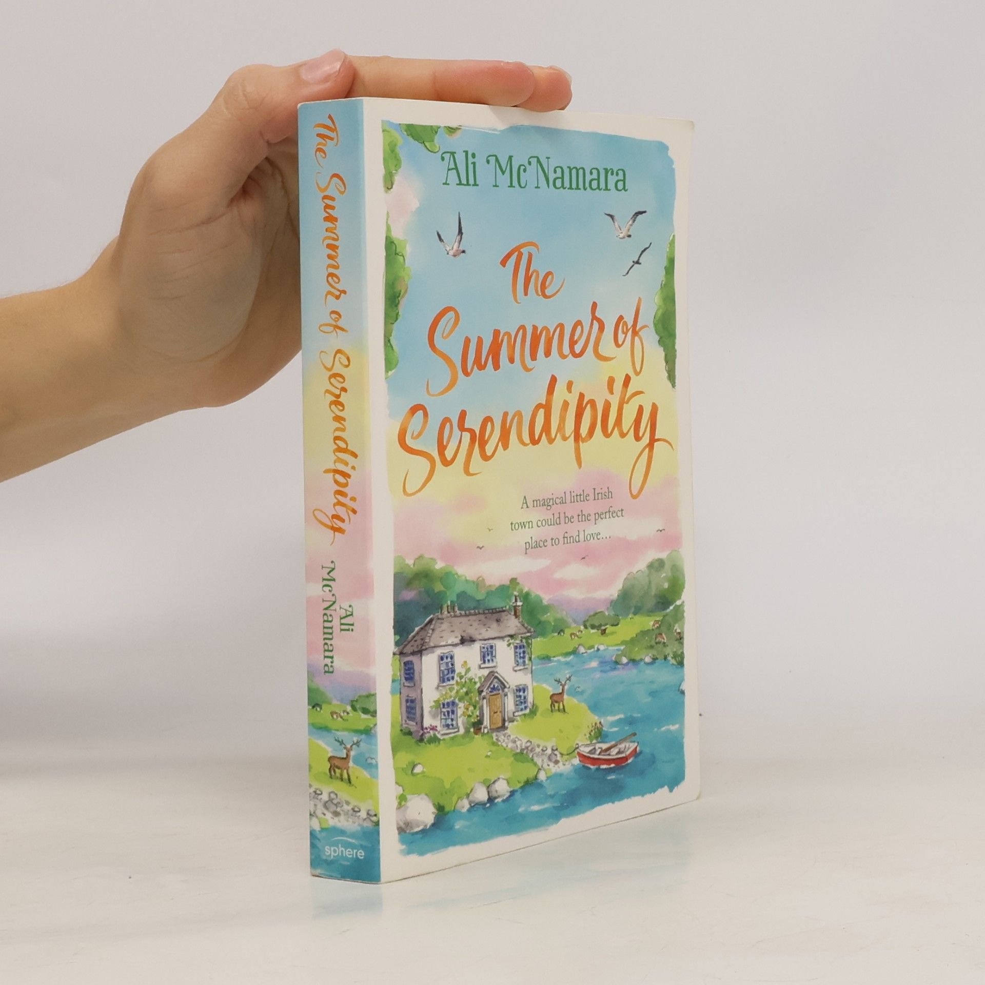 The Summer of Serendipity
