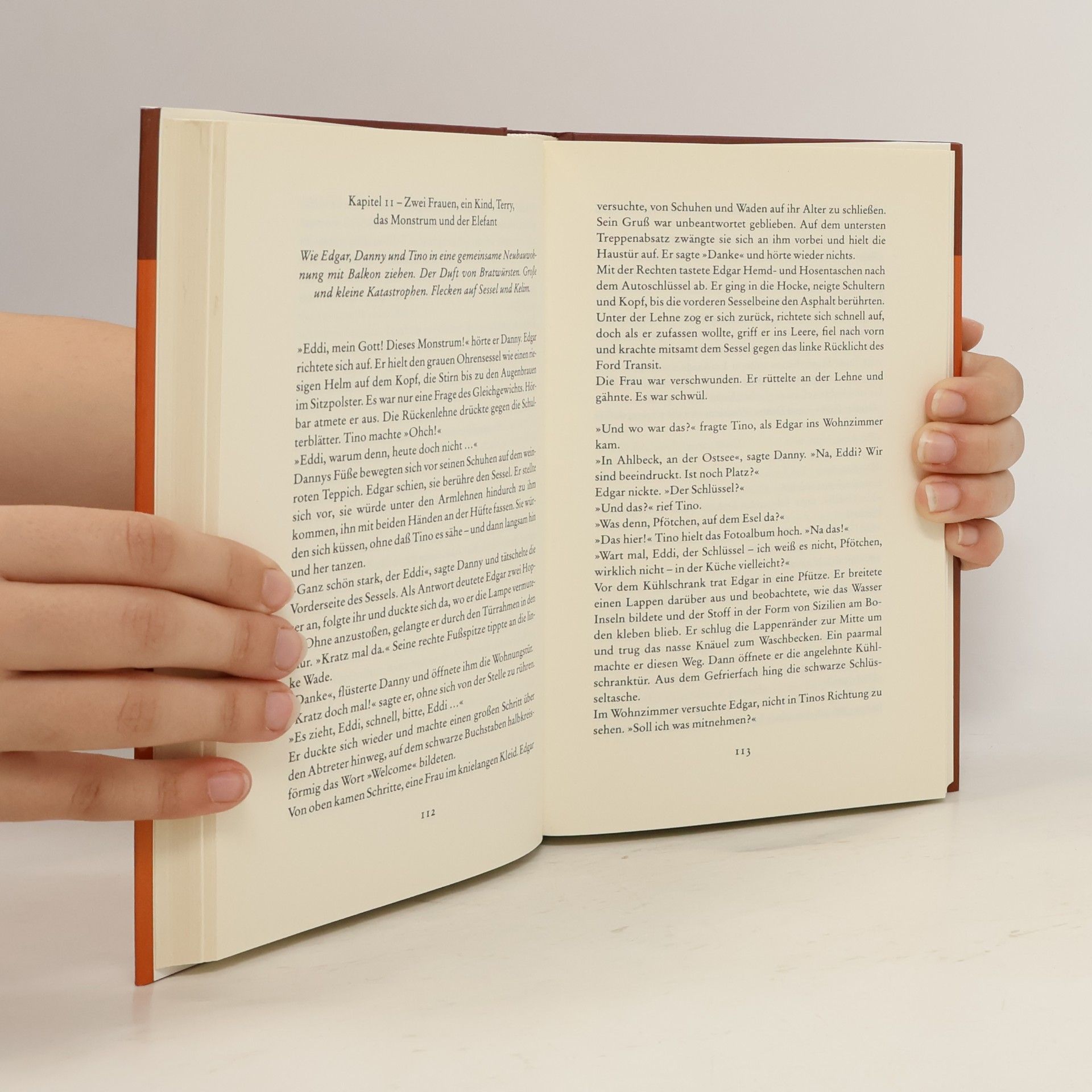 Ingo Schulze Simple Storys
