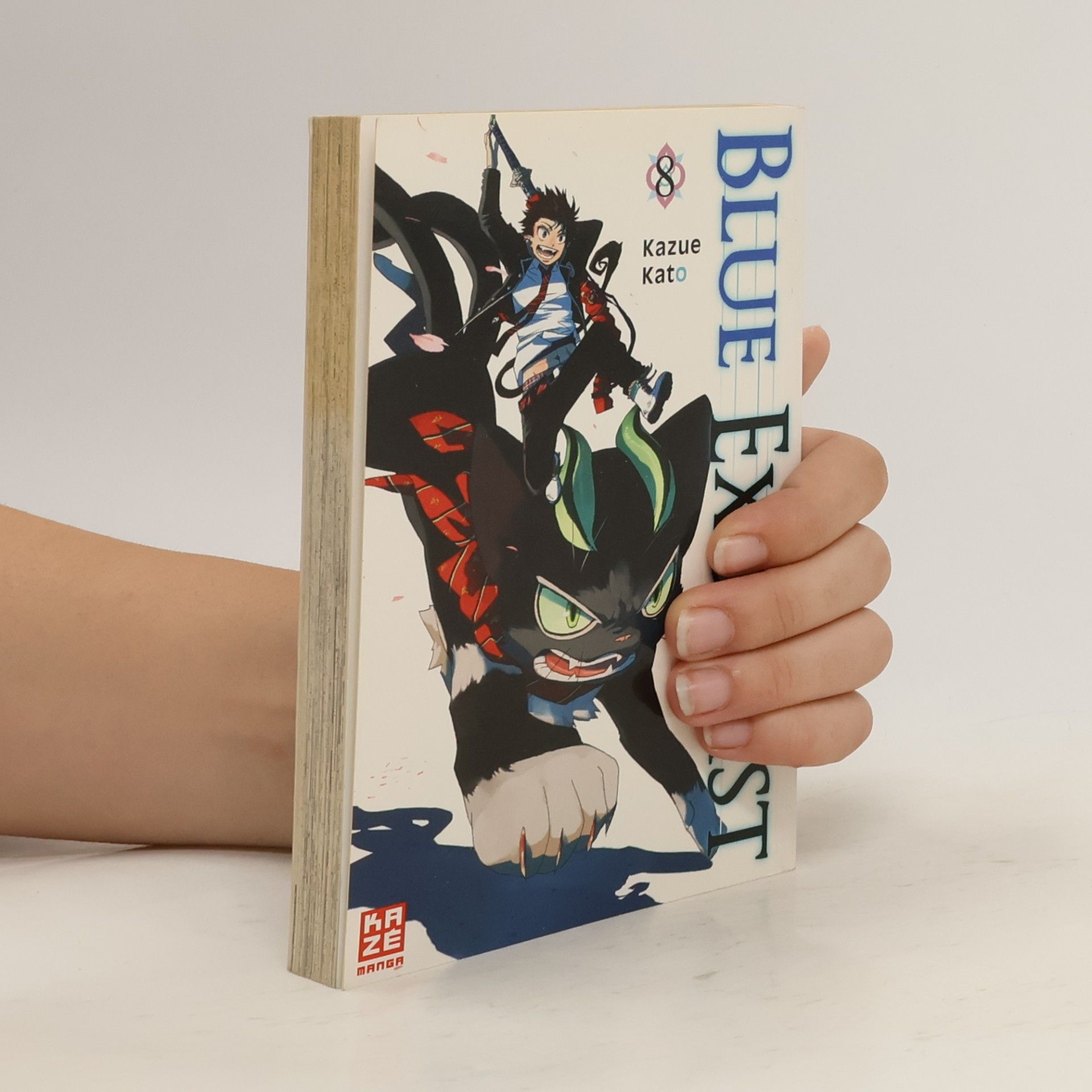 Blue Exorcist 8