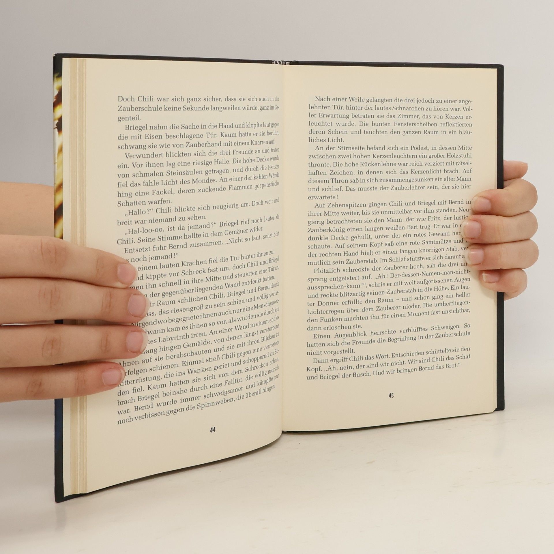 Karin Schramm Berndi Broter und der Kasten der Katastrophen - Das Buch zum Film