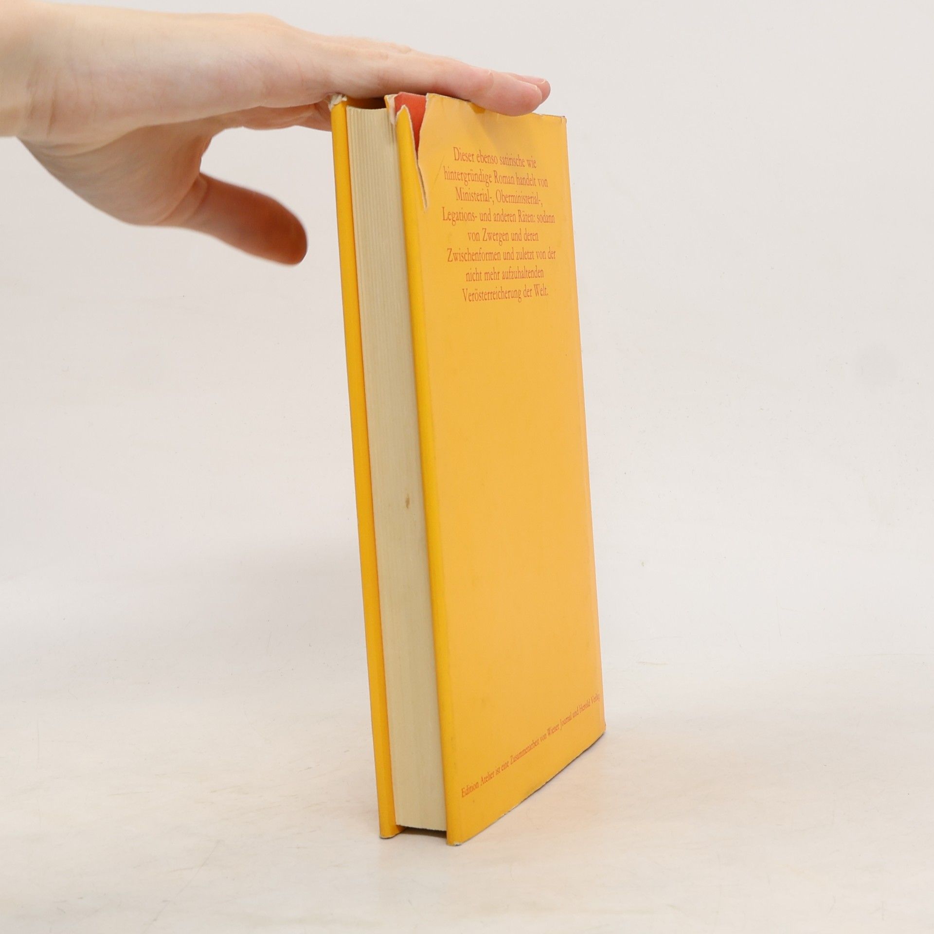 Jörg Mauthe Die grosse Hitze oder die Errettung Österreichs durch den Legationsrat Dr. Tuzzi