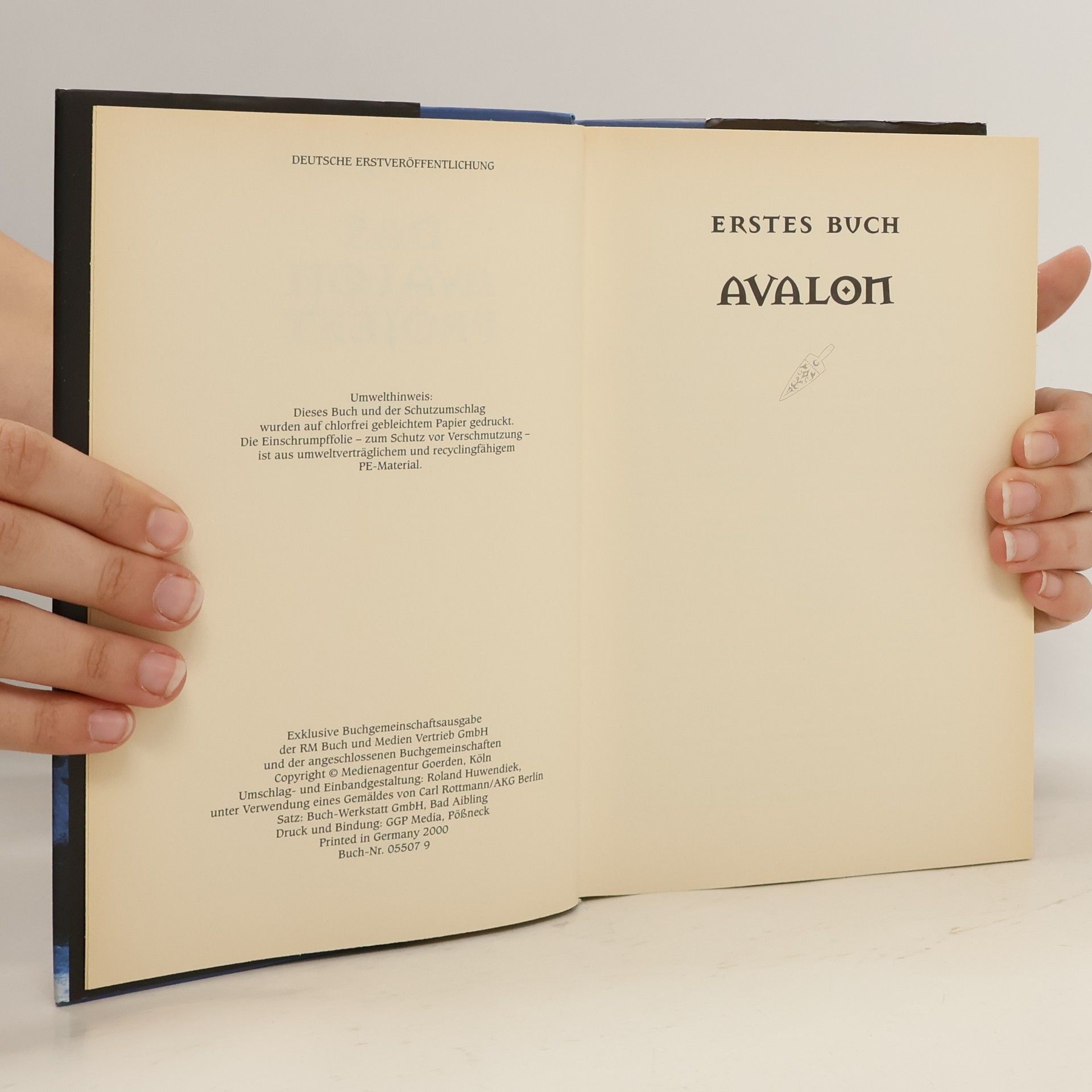 Wolfgang Hohlbein Das Avalon Projekt