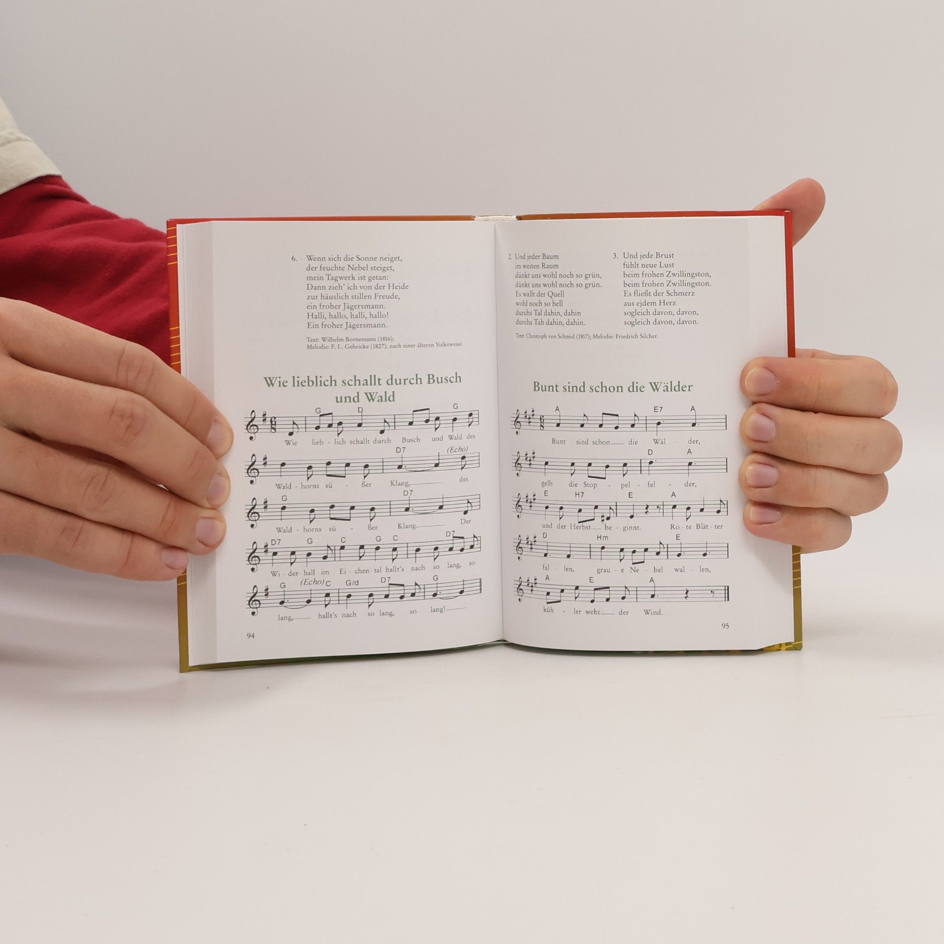 Autorenkollektiv Songs & Lieder für Landstrasse und Lagerfeuer