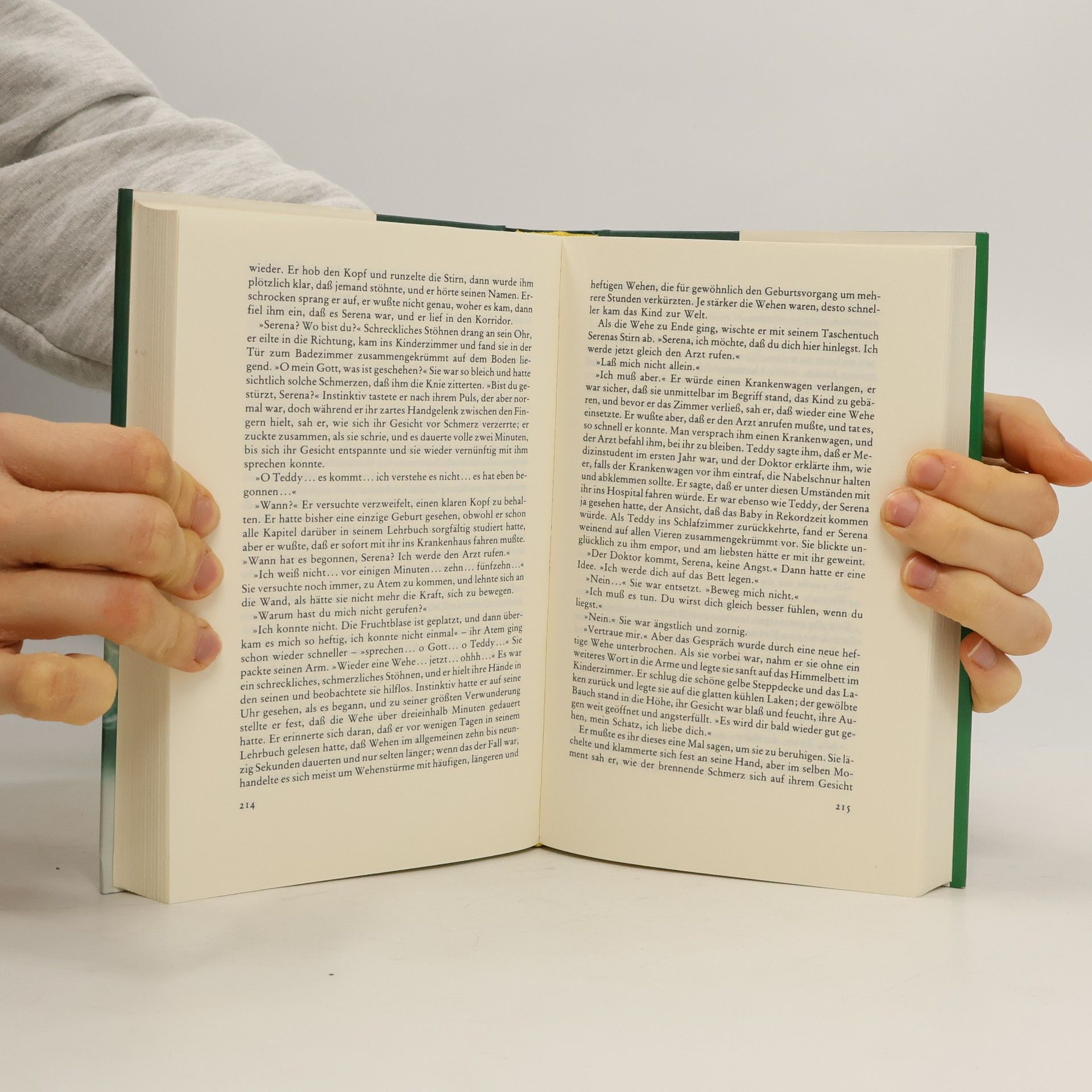Danielle Steel Träume des Lebens