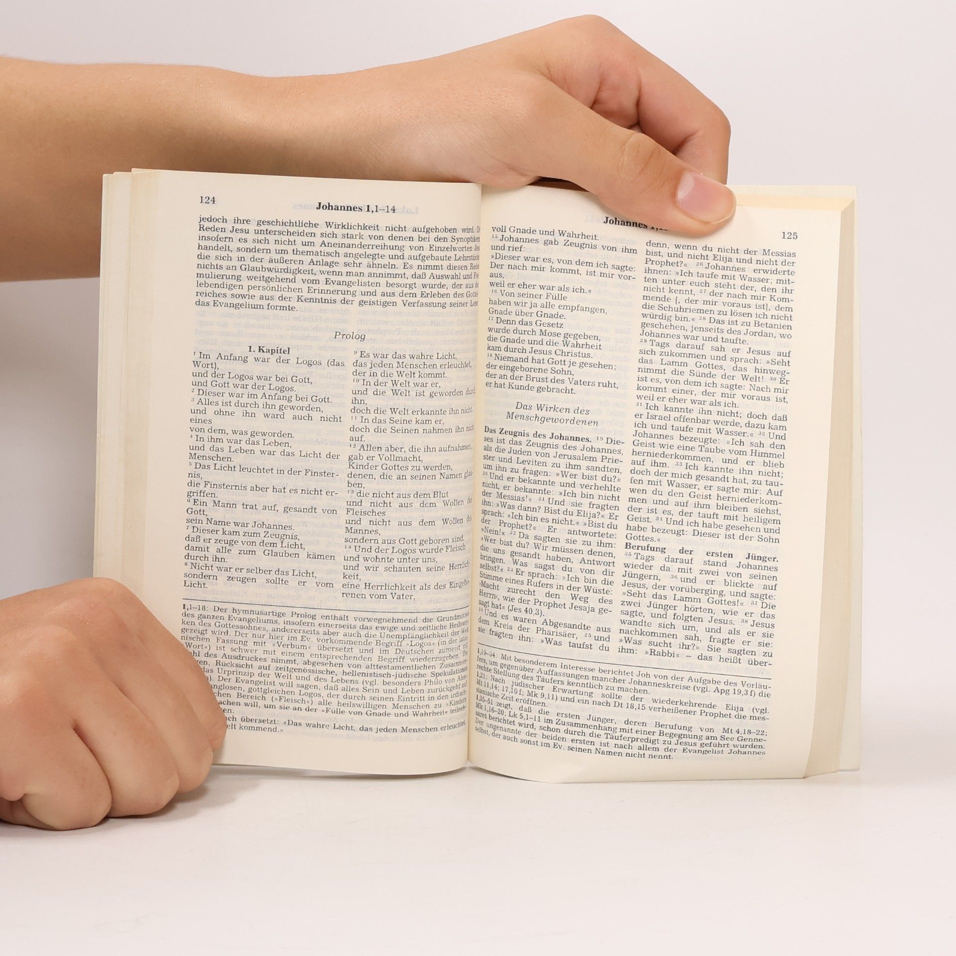 Josef Kürzinger Das Neue Testament