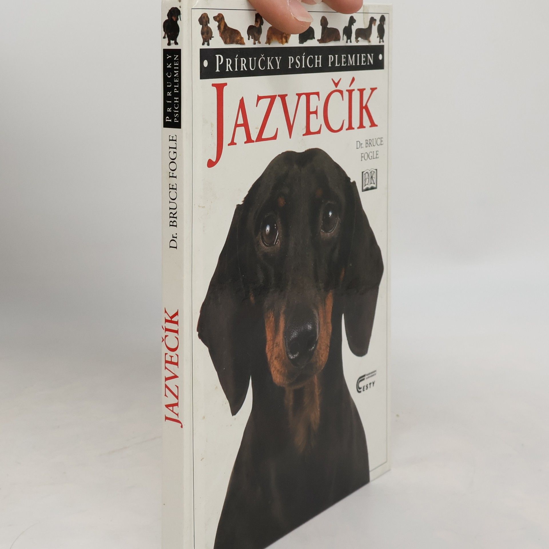 Jazvečík