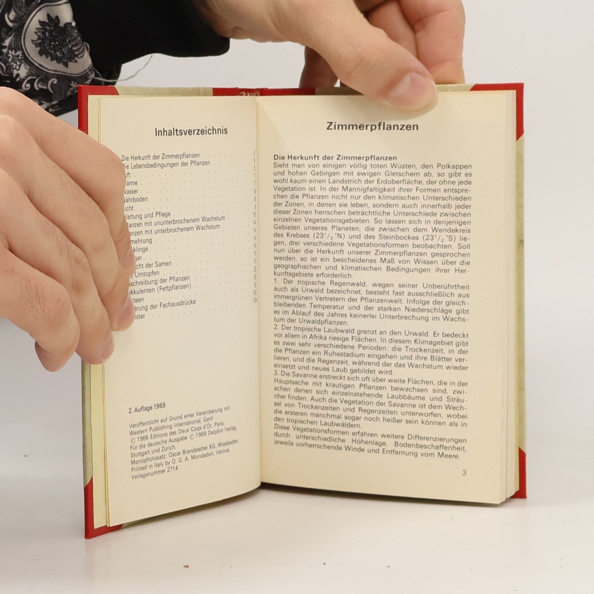 Autorenkollektiv Zimmerpflanzen