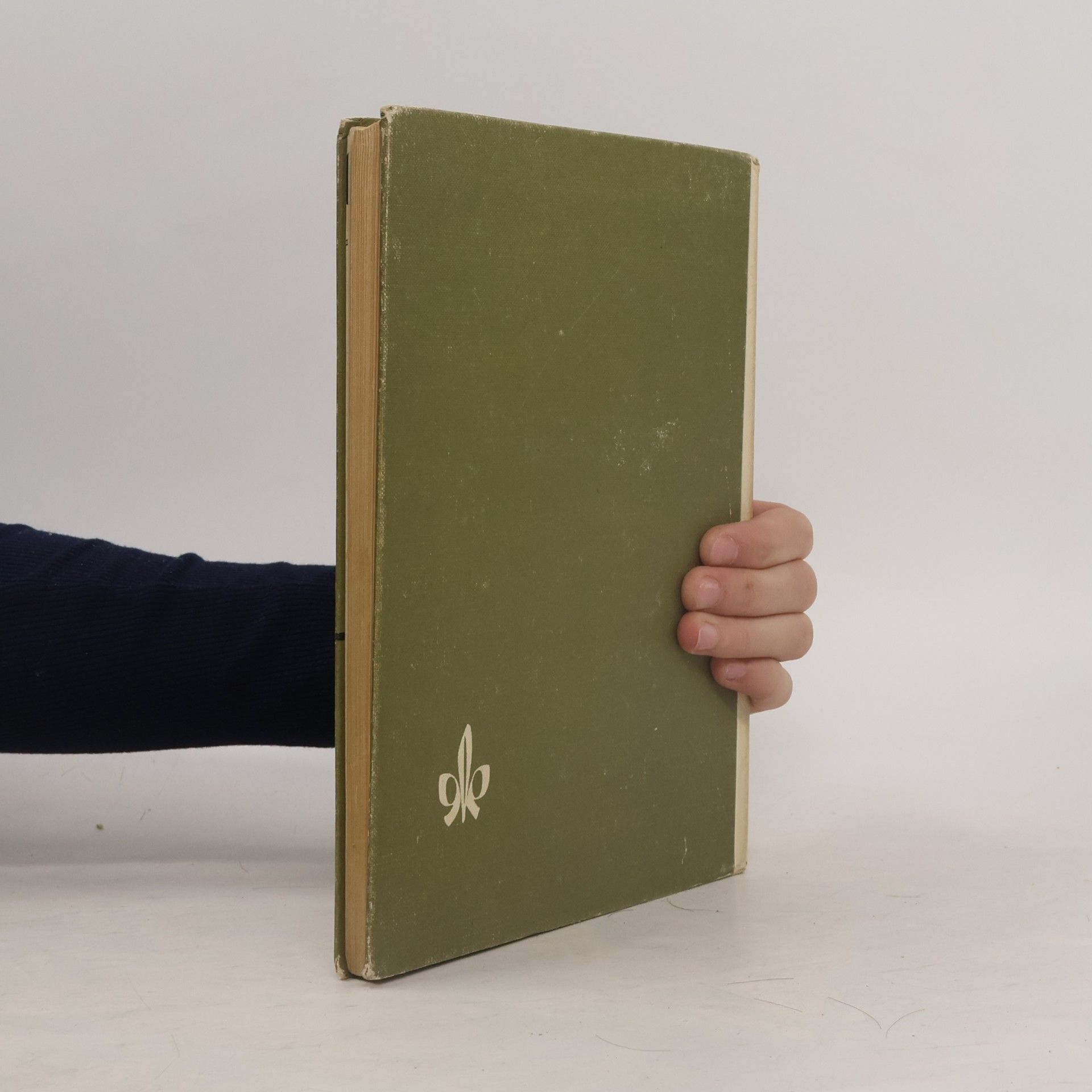 G. Wustmann GRUNDRISS DER GESCHICHTE