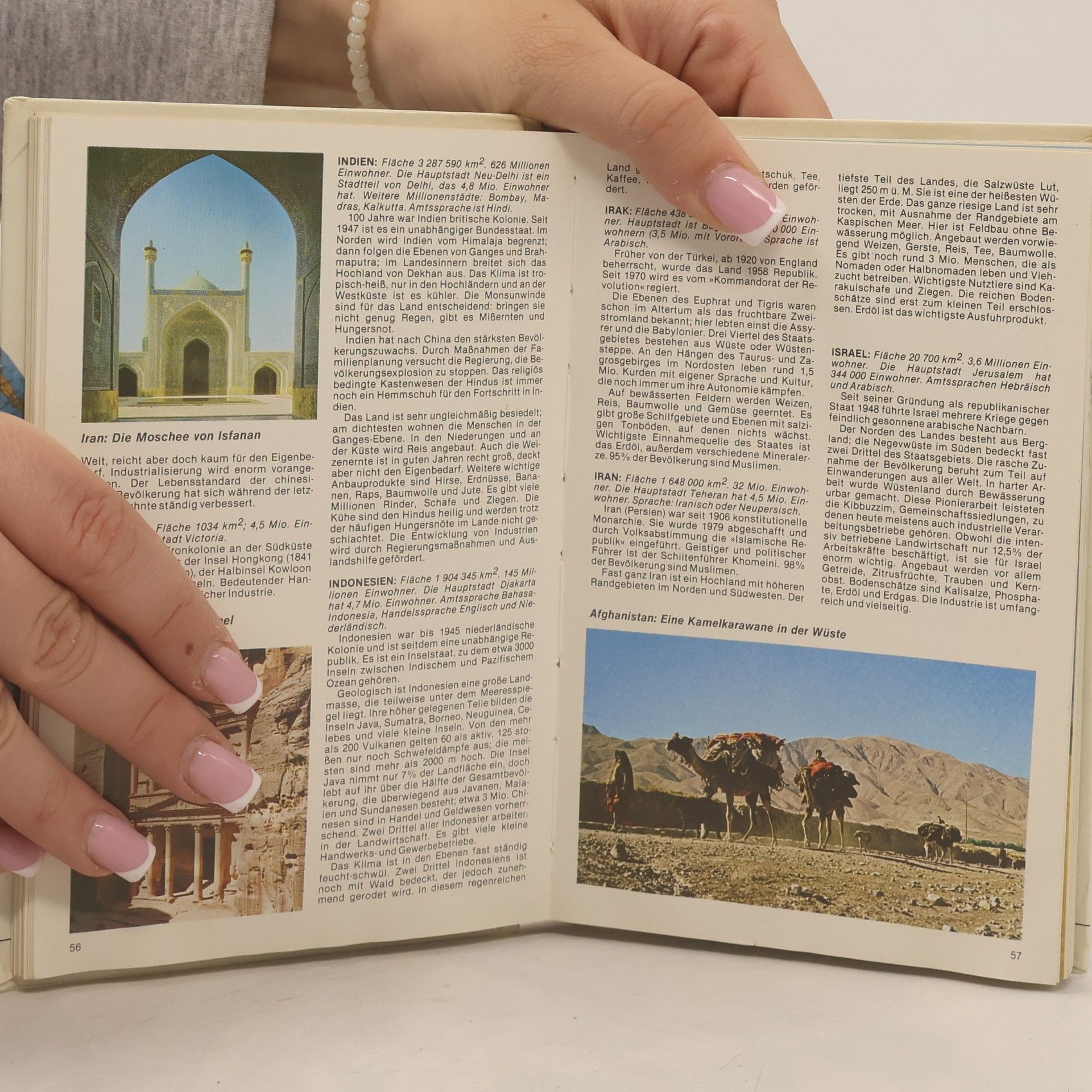 Konrad Norbert Braun Taschen-Bild-Atlas