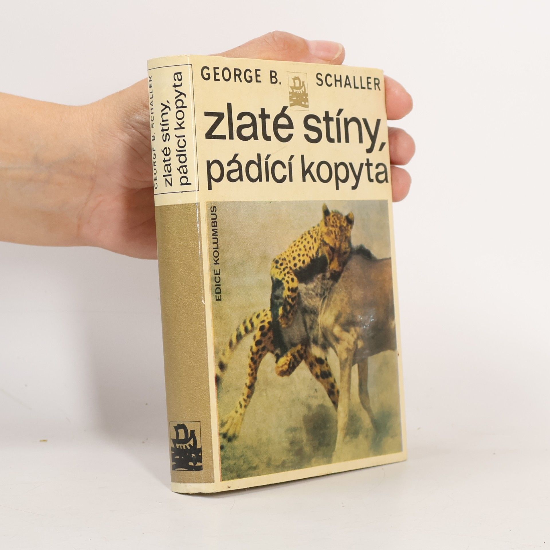 Zlaté stíny, pádící kopyta