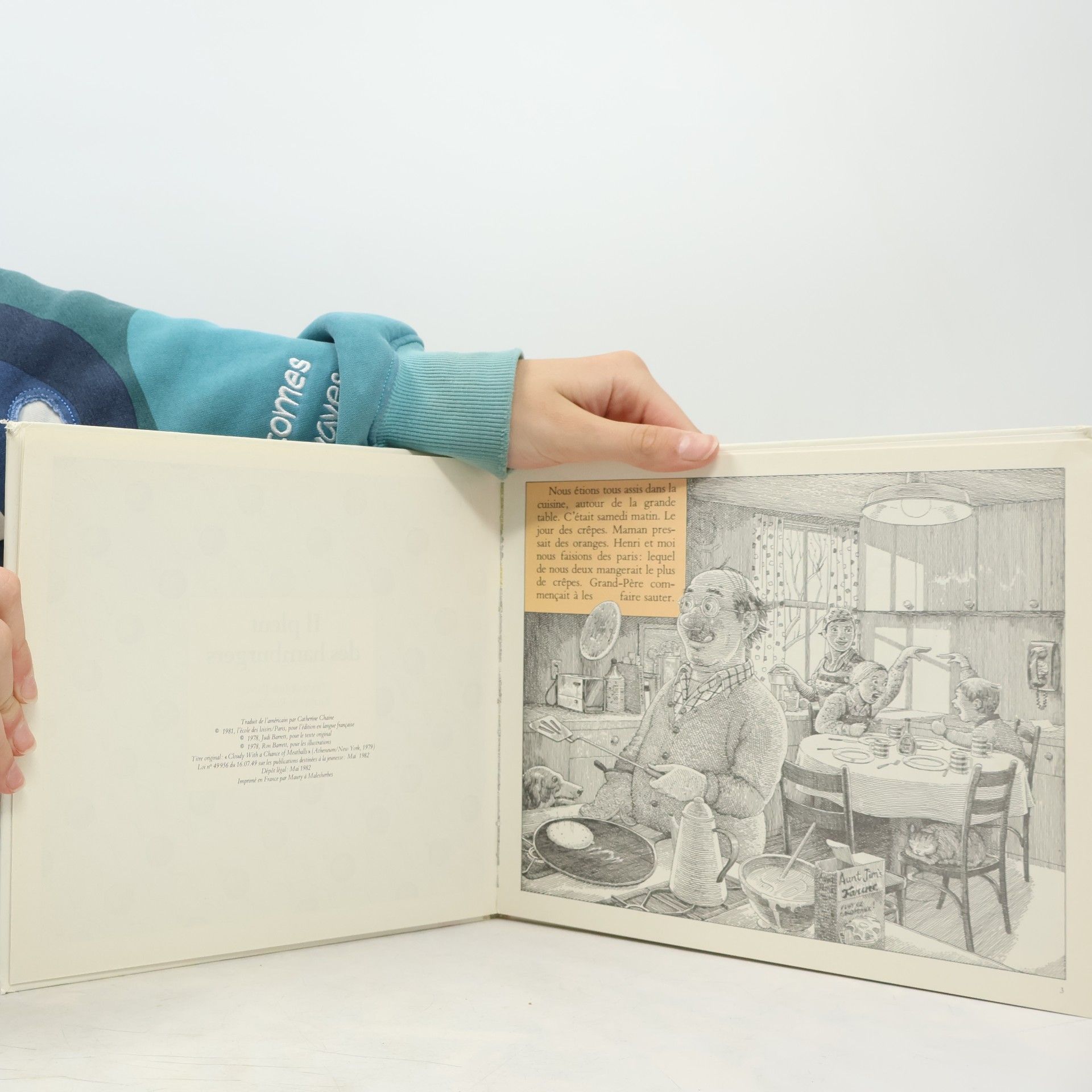 Judi Barrett Il pleut des hamburgers ancienne edition