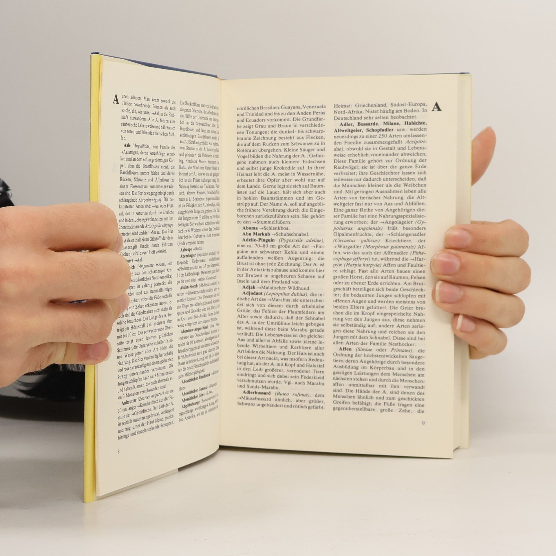 Autores varios Lexikon der Tiere