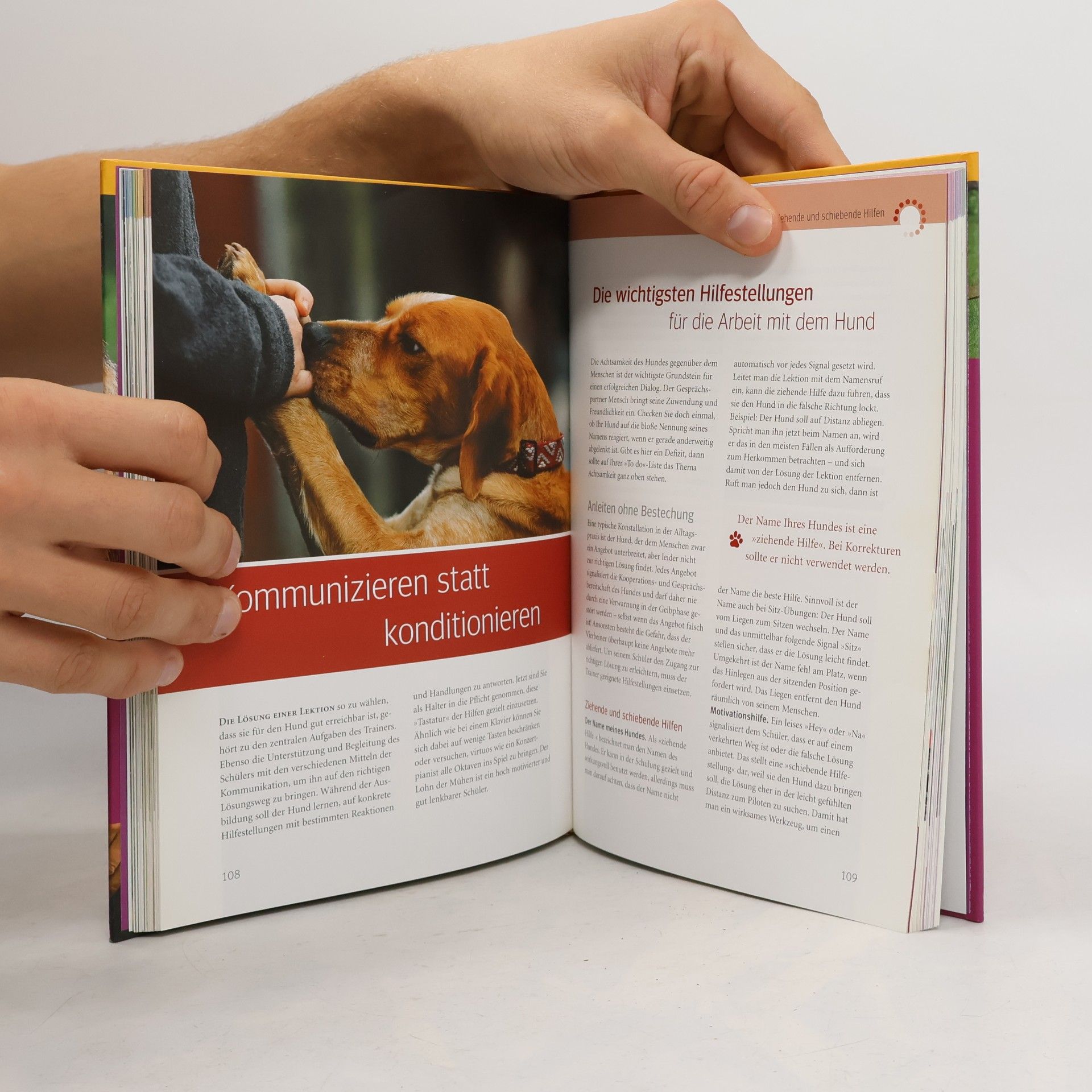 Anne Krüger Besser kommunizieren mit dem Hund