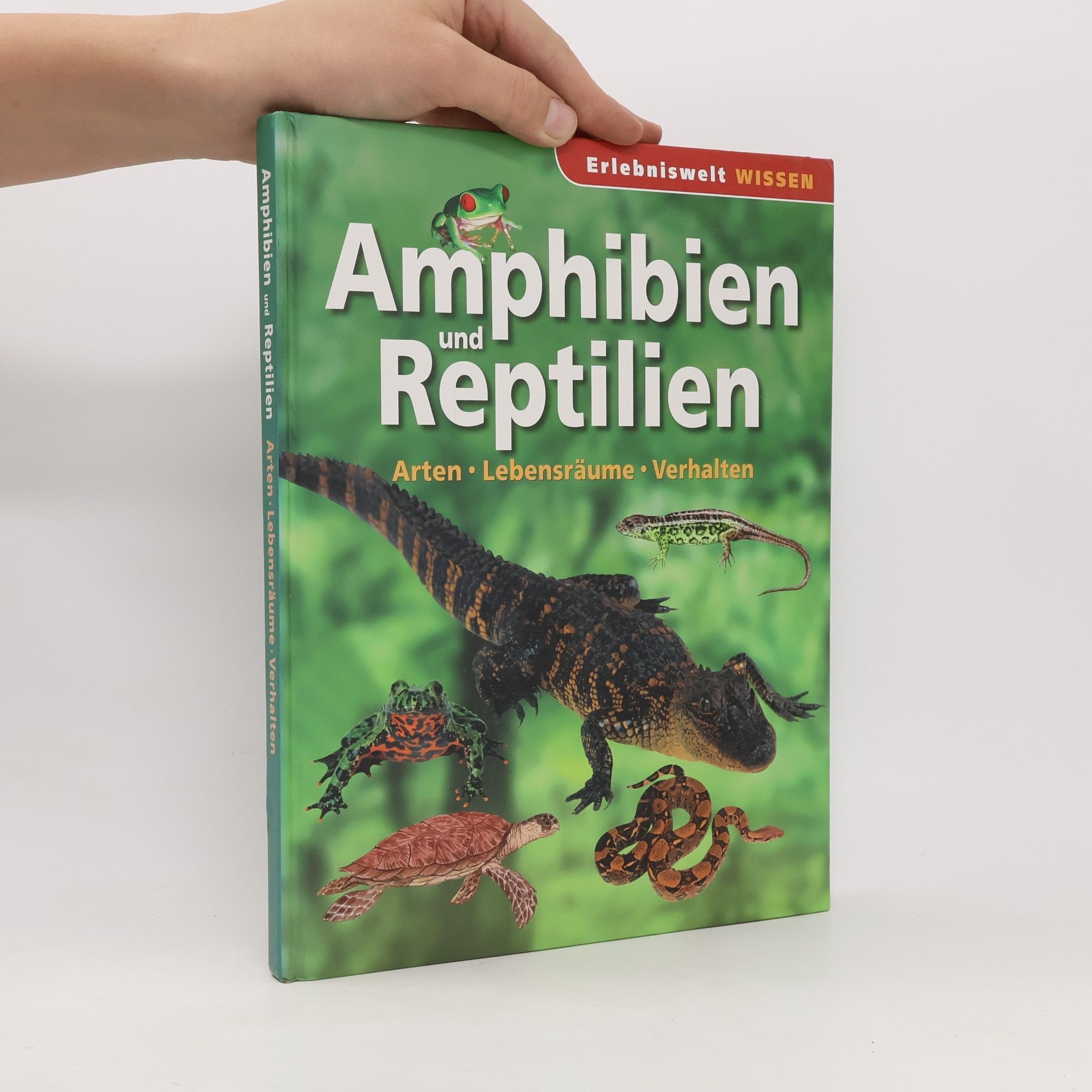 Autorenkollektiv Amphibien und Reptilien
