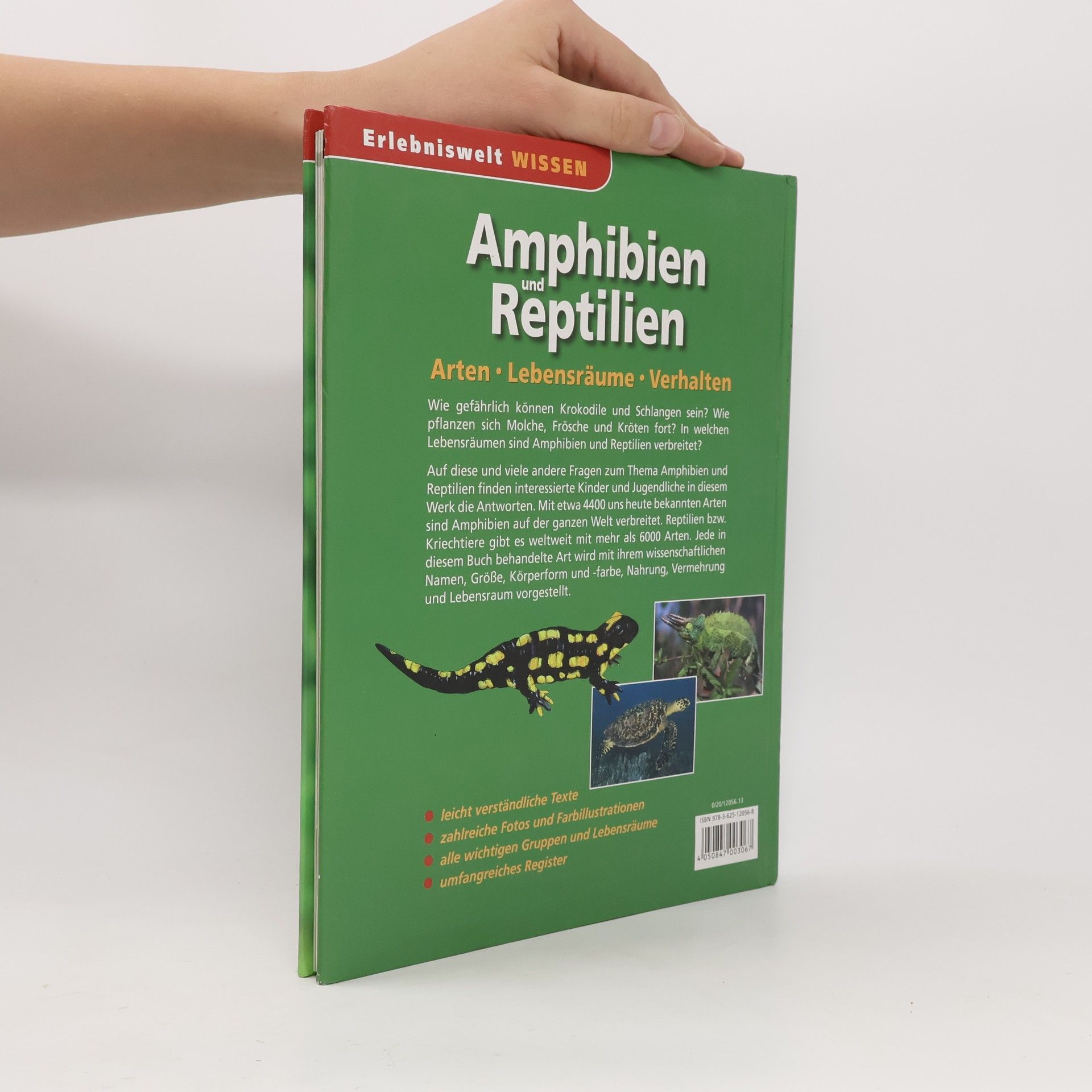 Autorenkollektiv Amphibien und Reptilien
