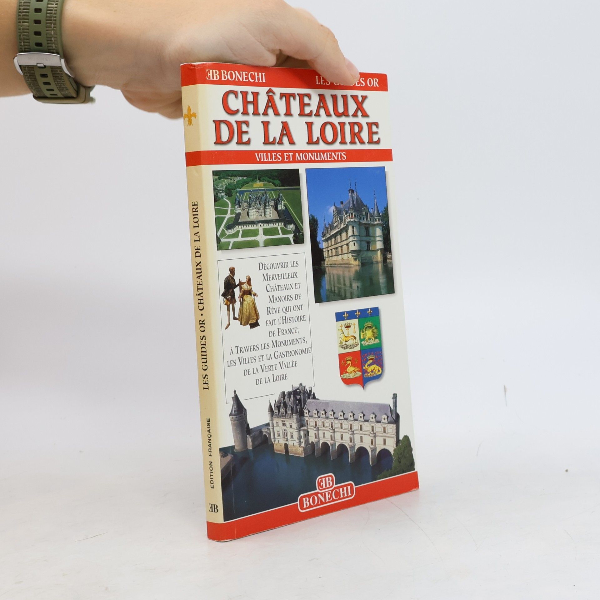 Patrizia Fabbri Les Guides Or: Châteaux de la Loire