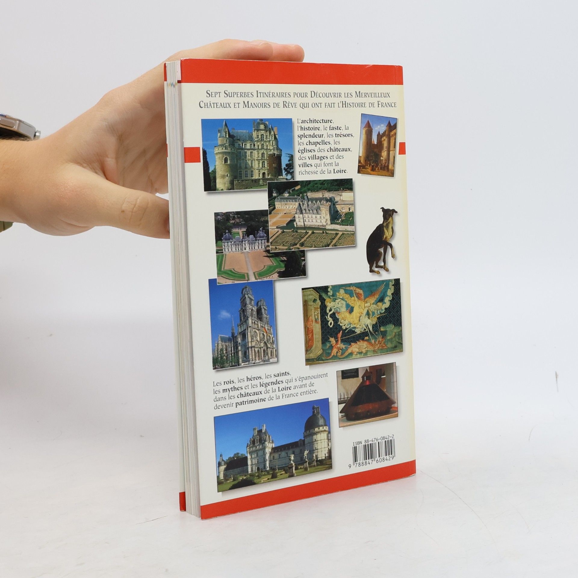 Patrizia Fabbri Les Guides Or: Châteaux de la Loire