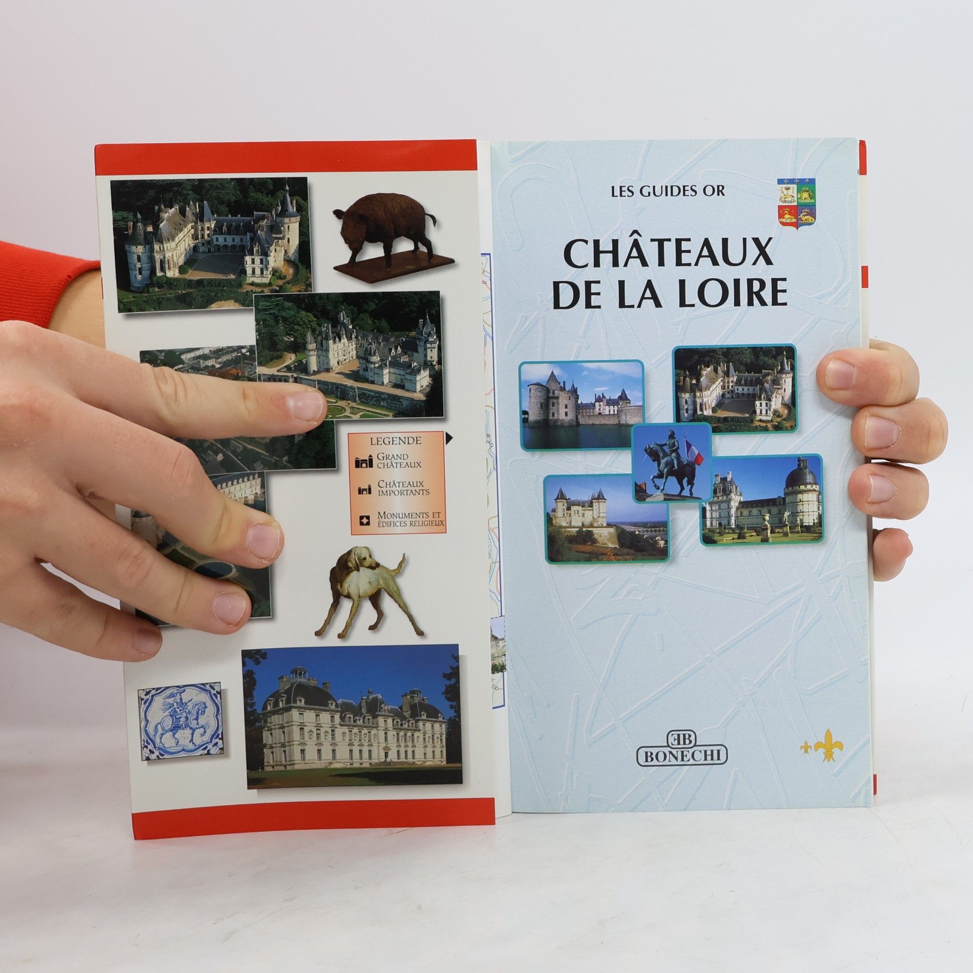 Patrizia Fabbri Les Guides Or: Châteaux de la Loire