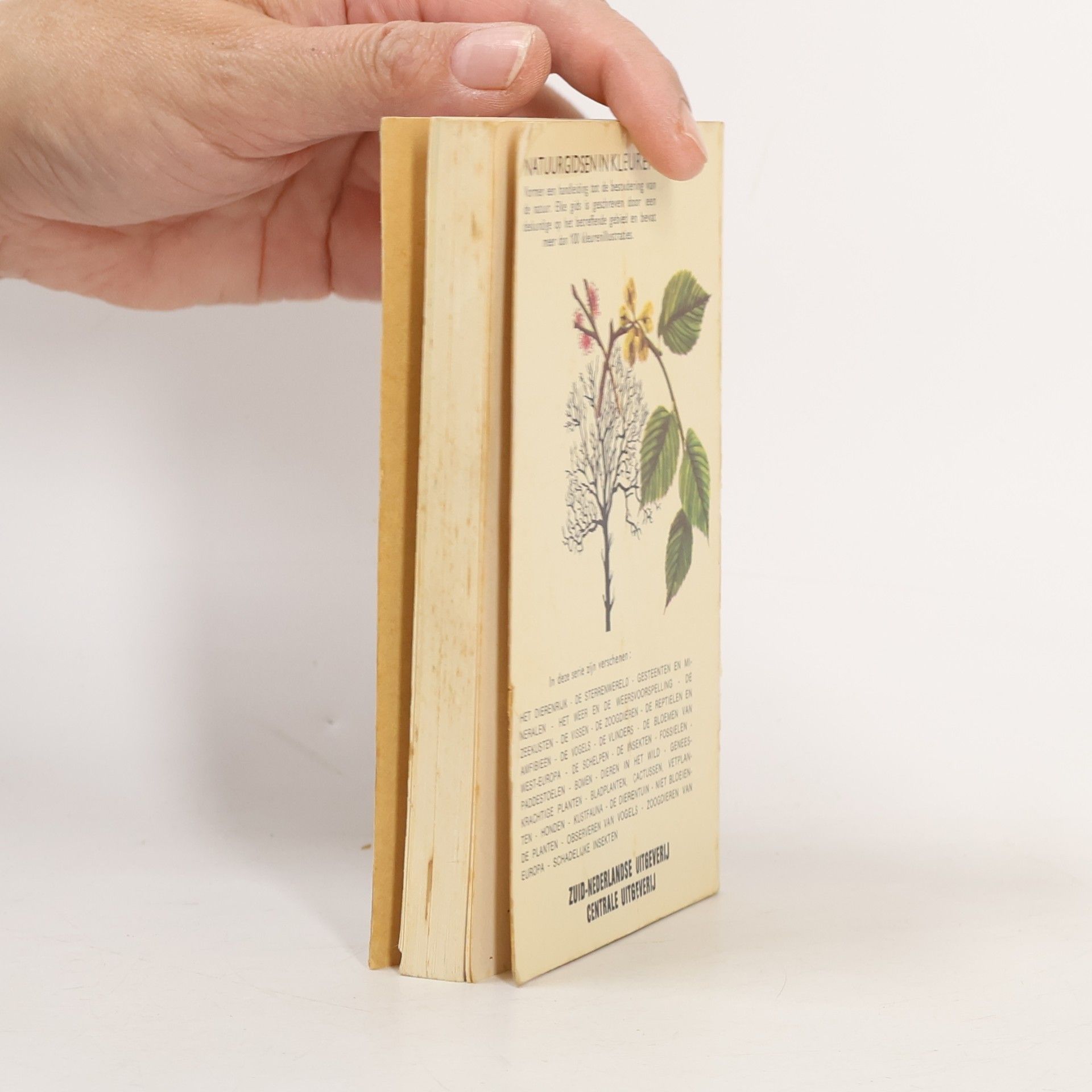 Various authors Bomen