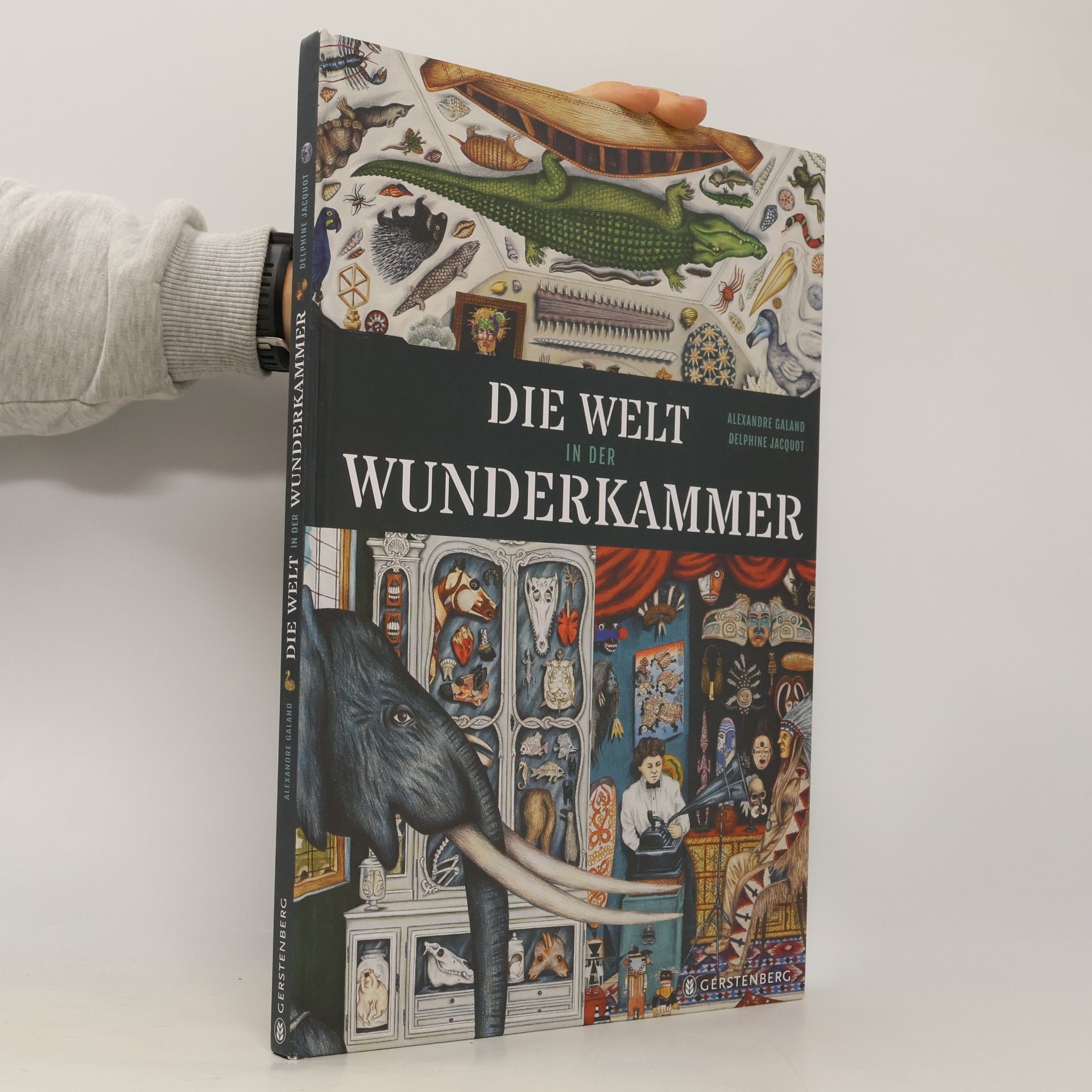 Alexandre Galand Die Welt in der Wunderkammer