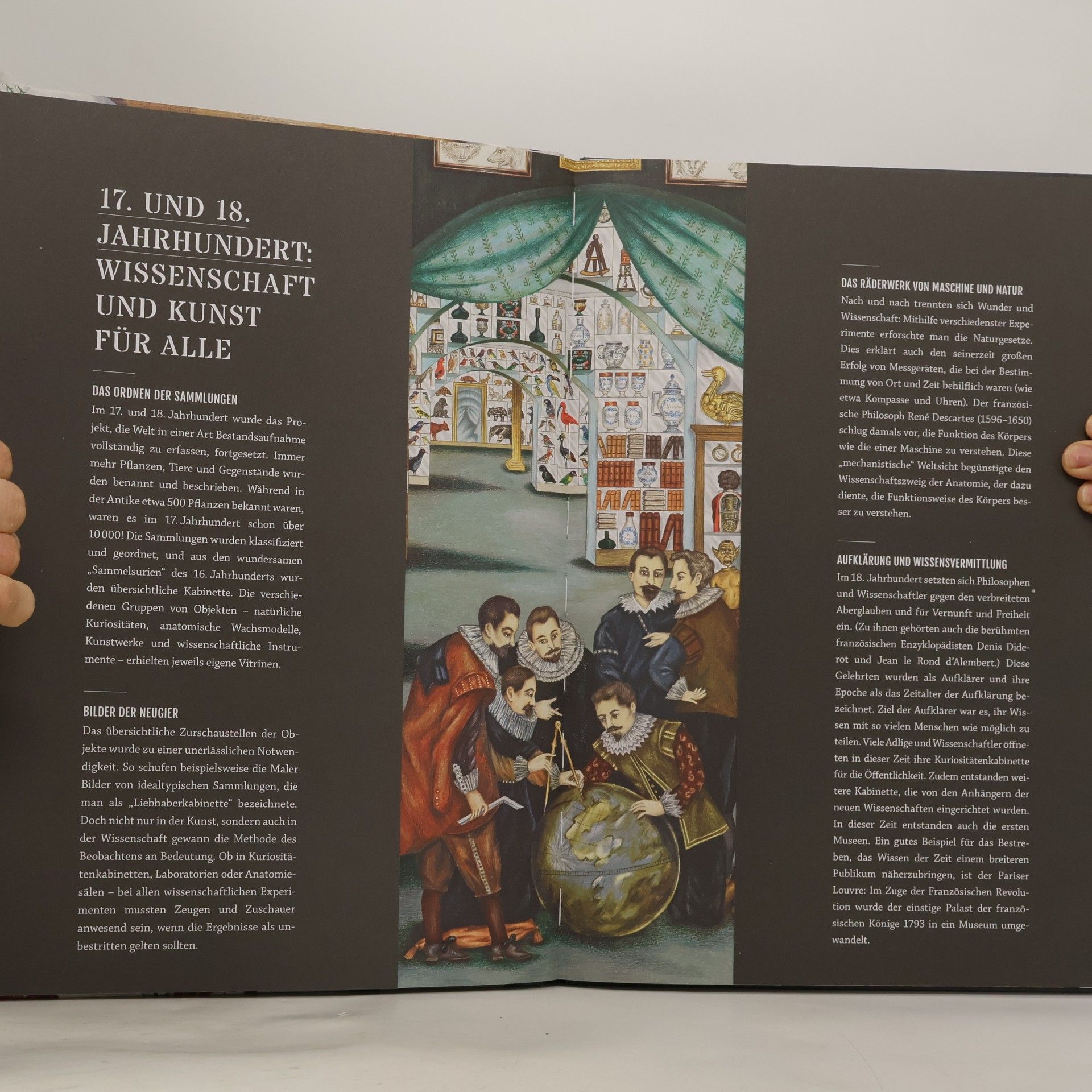 Alexandre Galand Die Welt in der Wunderkammer