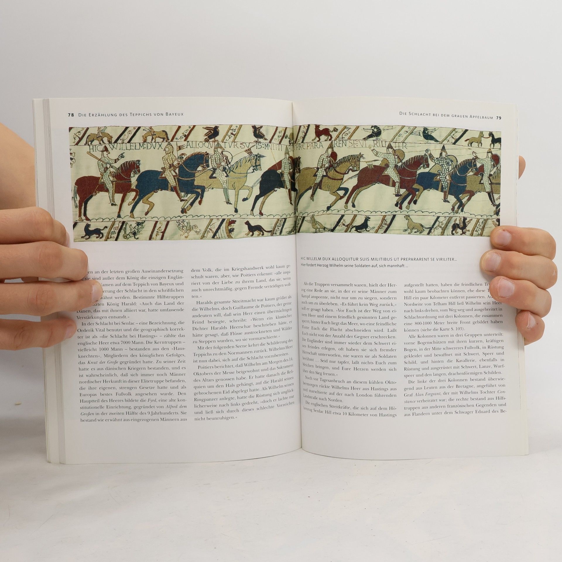 Mogens Rud Der teppichs von Bayeux und die schlacht