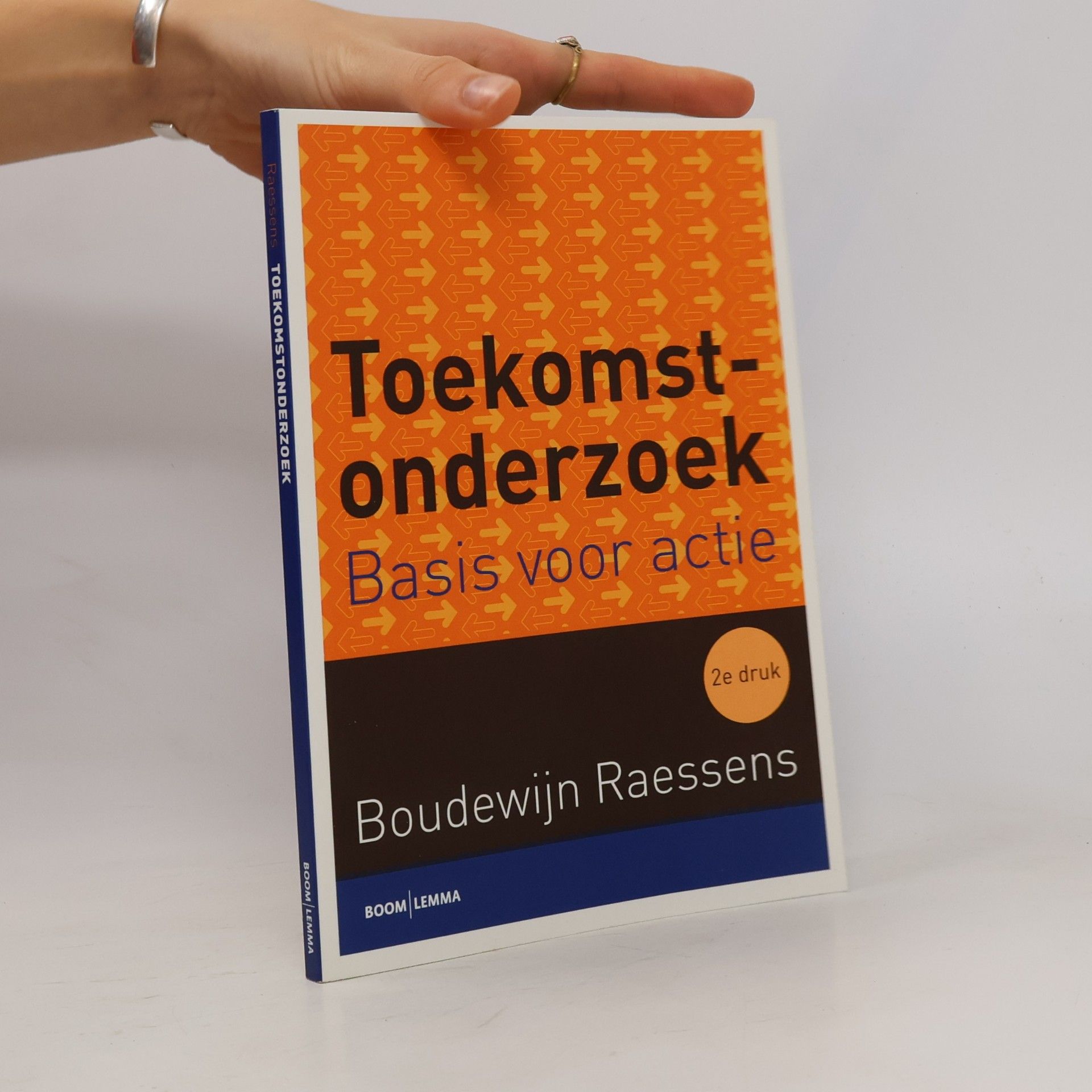 Boudewijn Arnold Maria Raessens Toekomstonderzoek