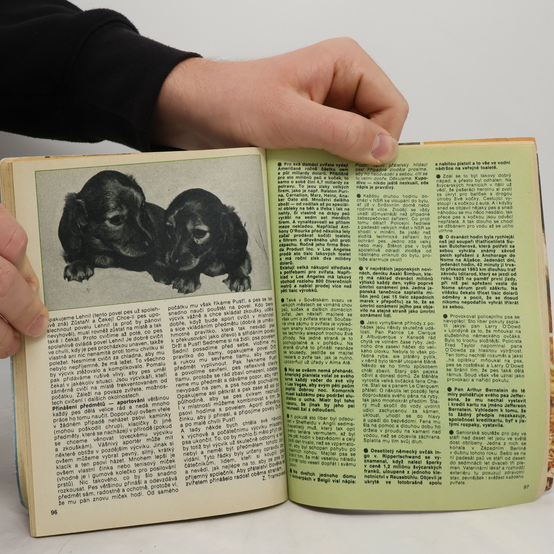 Various authors Pes přítel člověka. Příloha z r. 1988