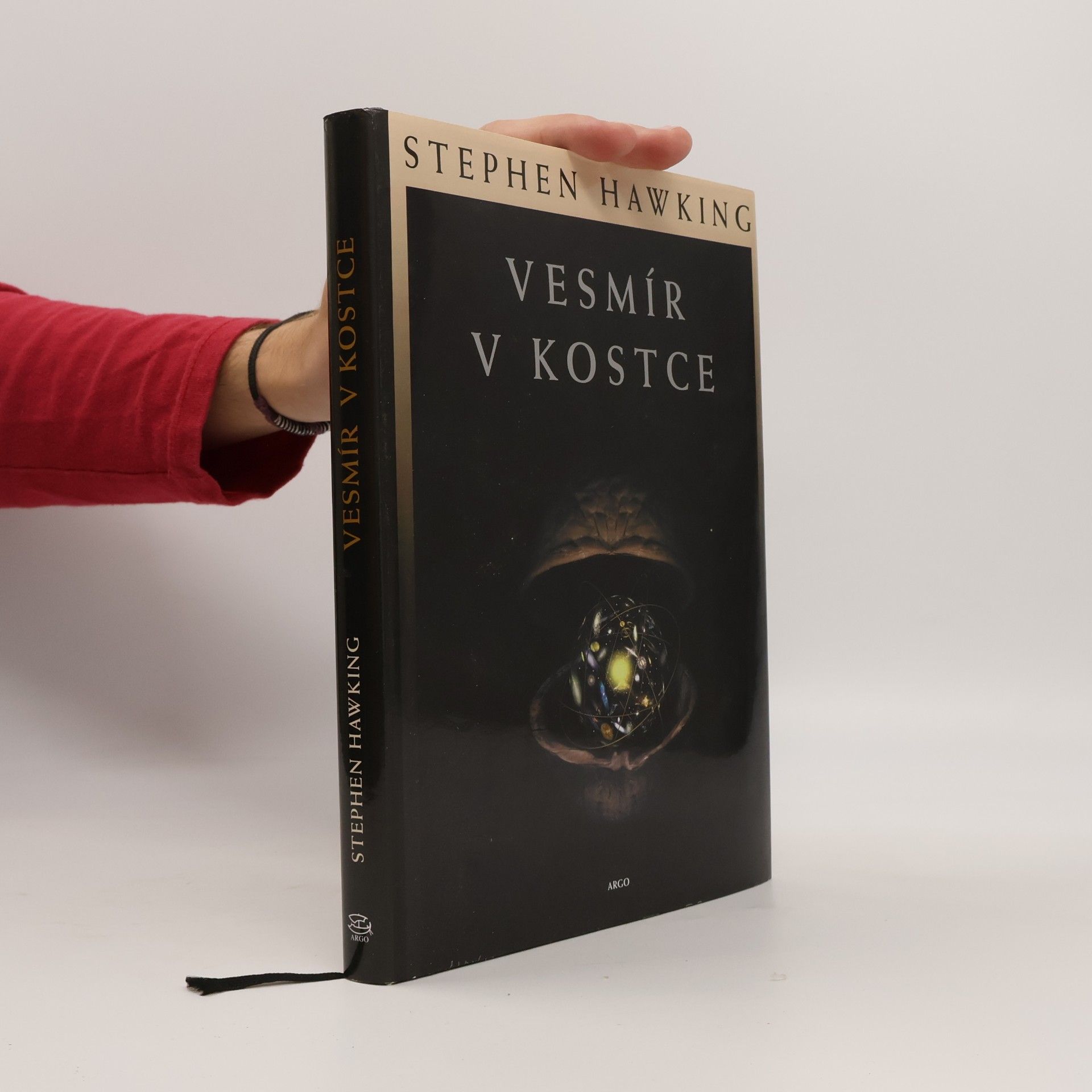 Stephen Hawking Vesmír v kostce