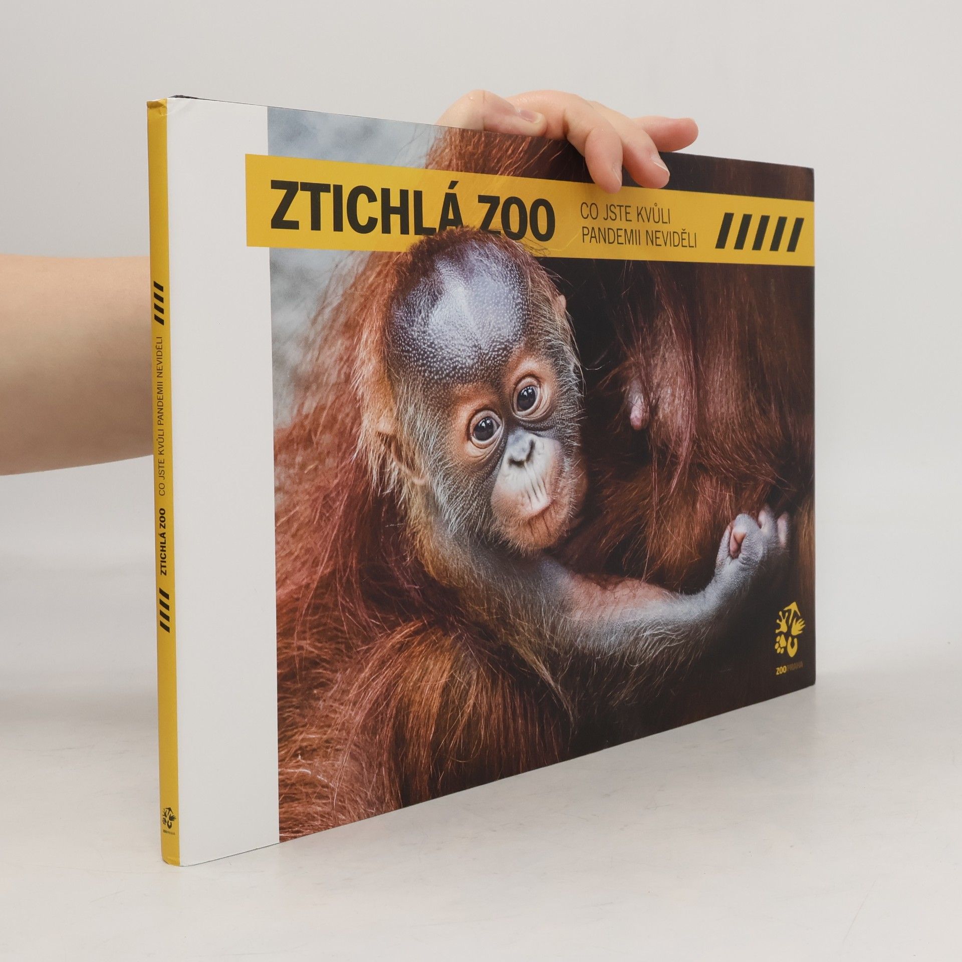 Ztichlá zoo: Co jste kvůli pandemii neviděli