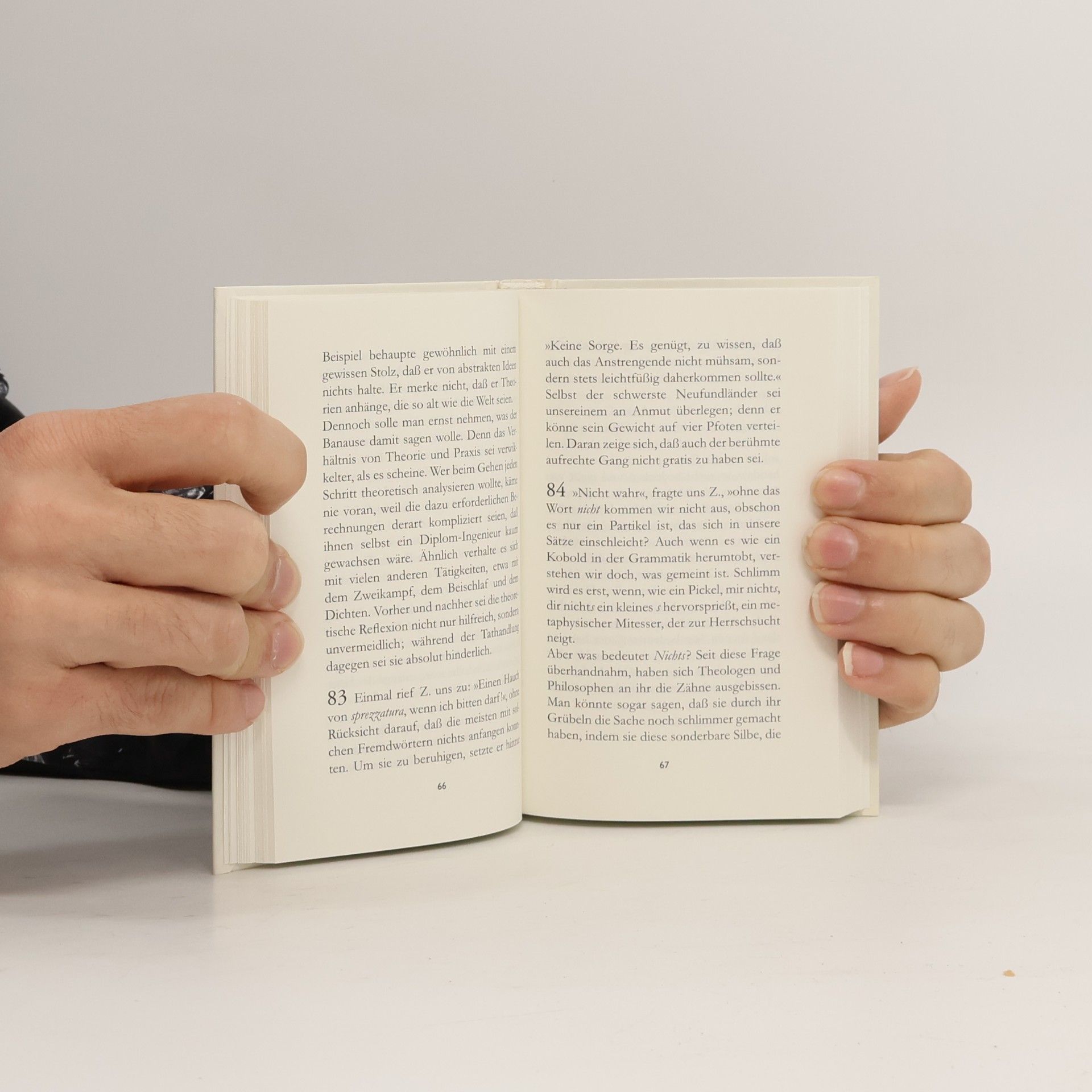 Hans Magnus Enzensberger Herrn Zetts Betrachtungen, oder Brosamen, die er fallen ließ, aufgelesen von seinen Zuhörern