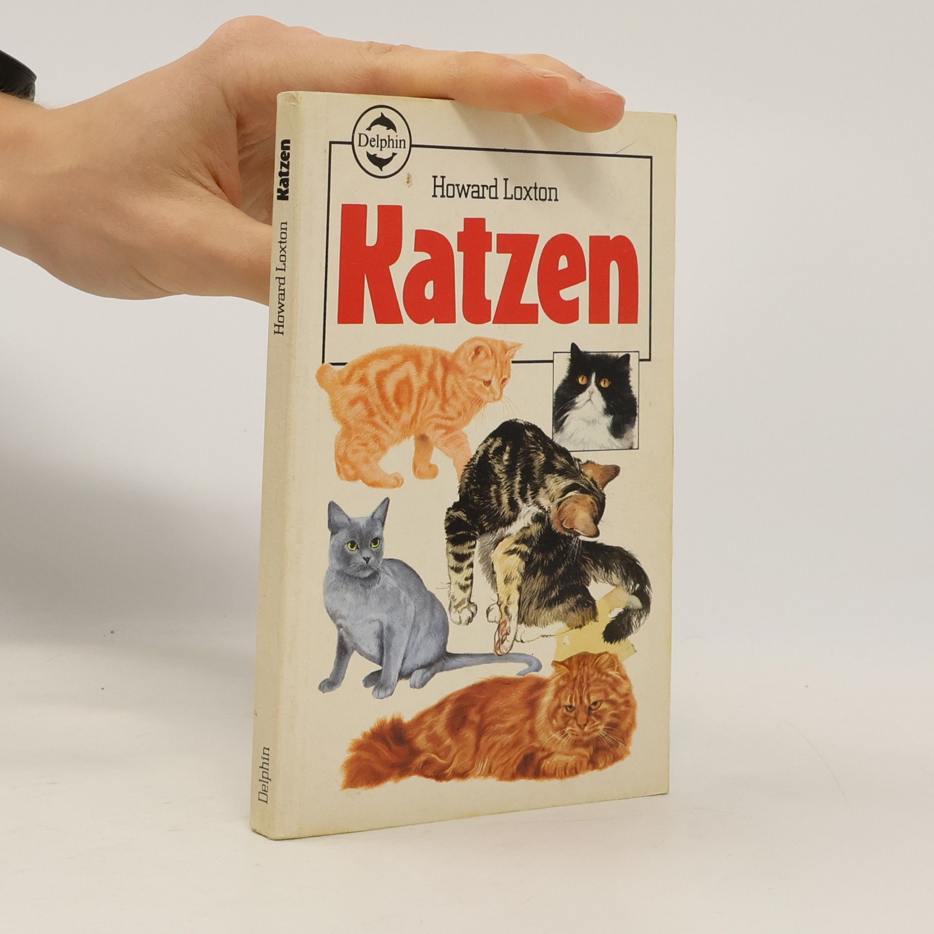Katzen