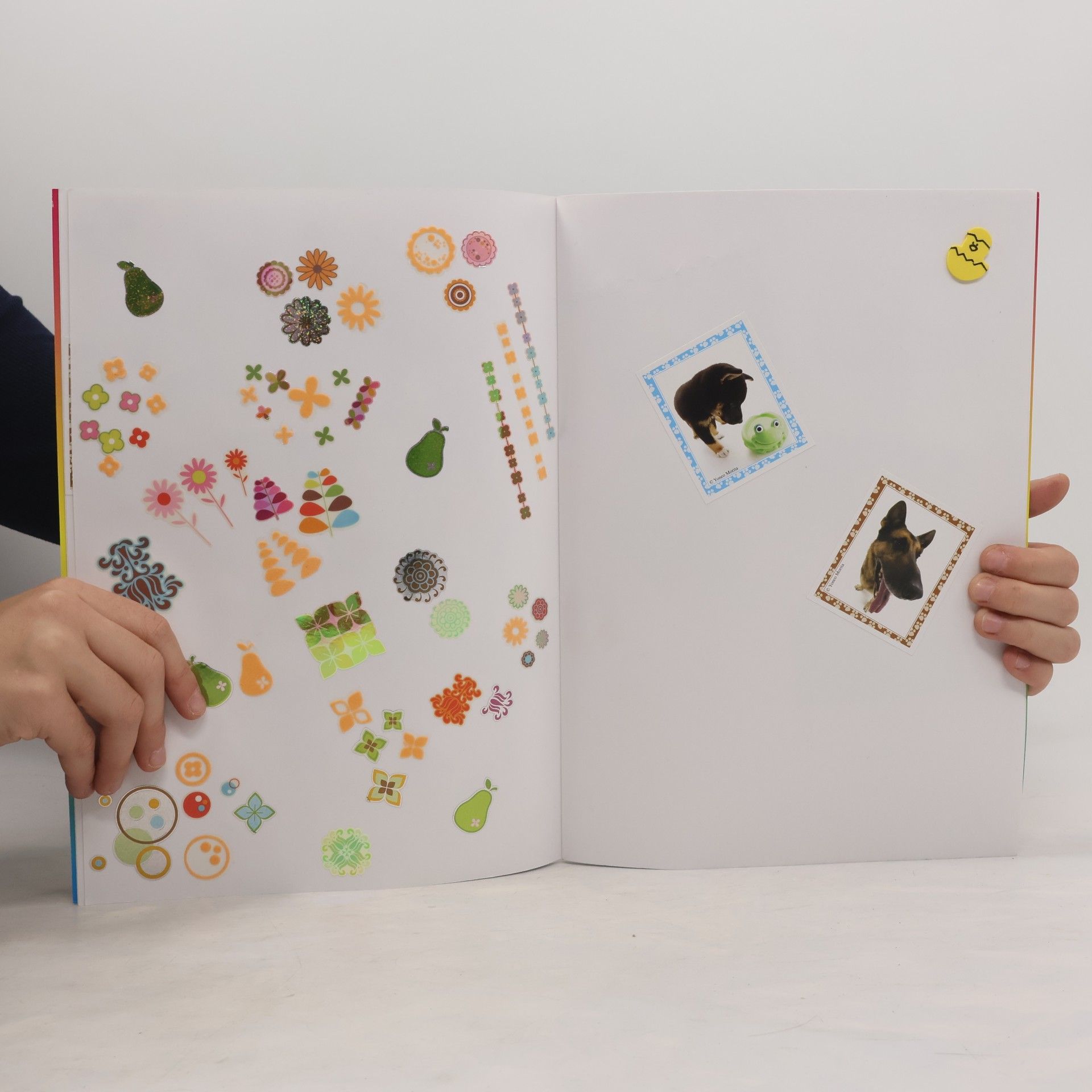 Kolektív autorov My Sticker Album