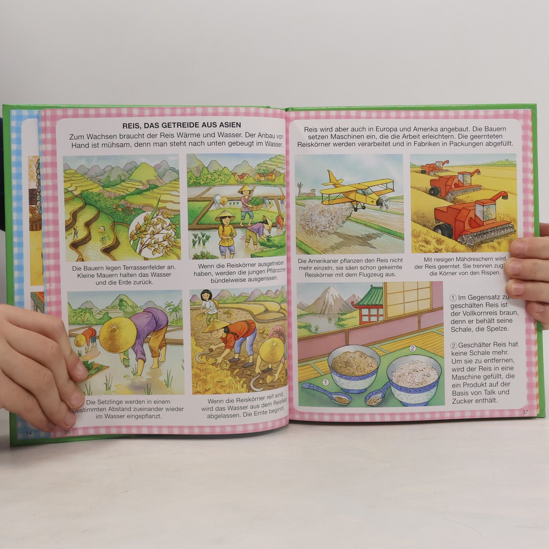 Philippe Simon Dein buntes Wörterbuch Essen & Trinken