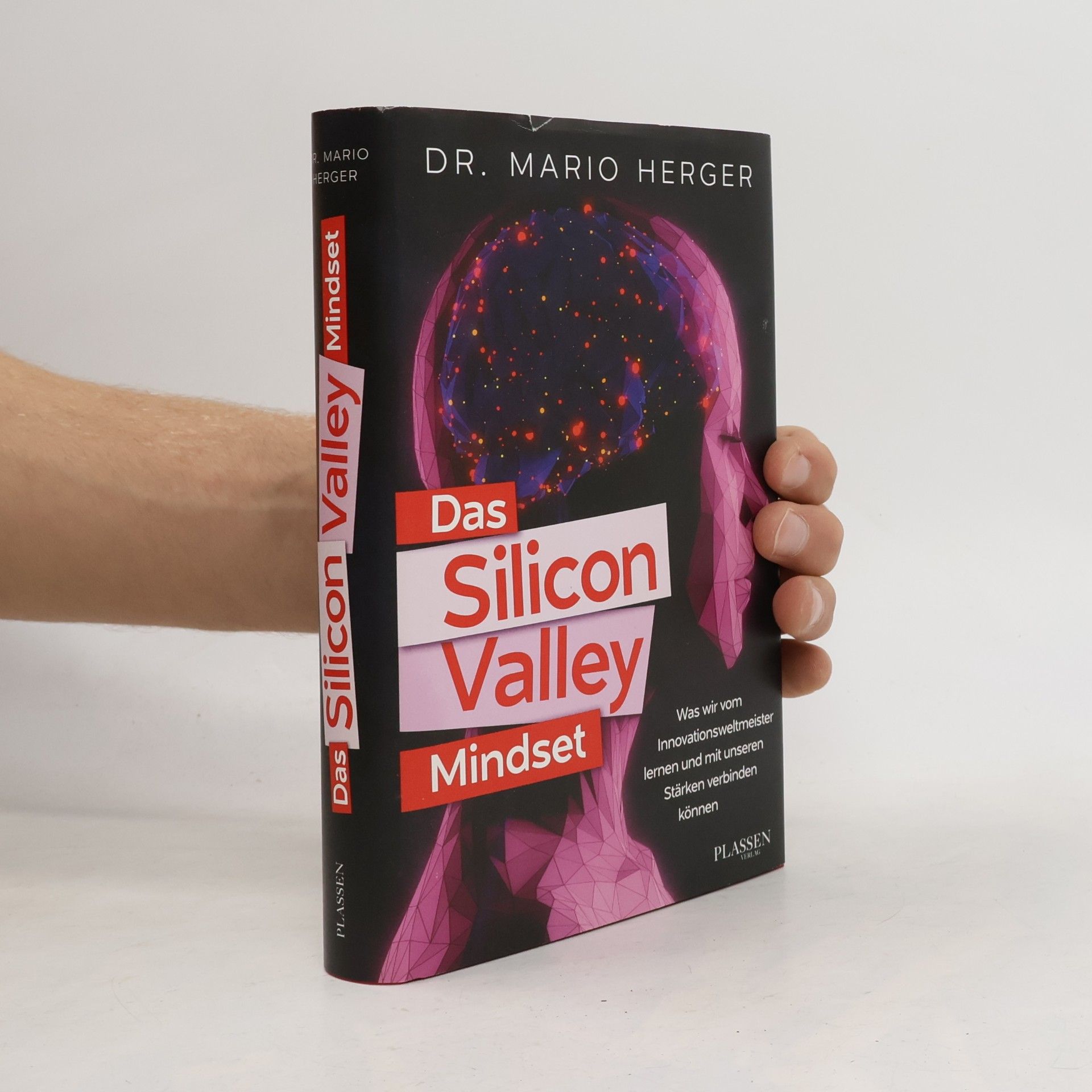 Das Silicon-Valley-Mindset