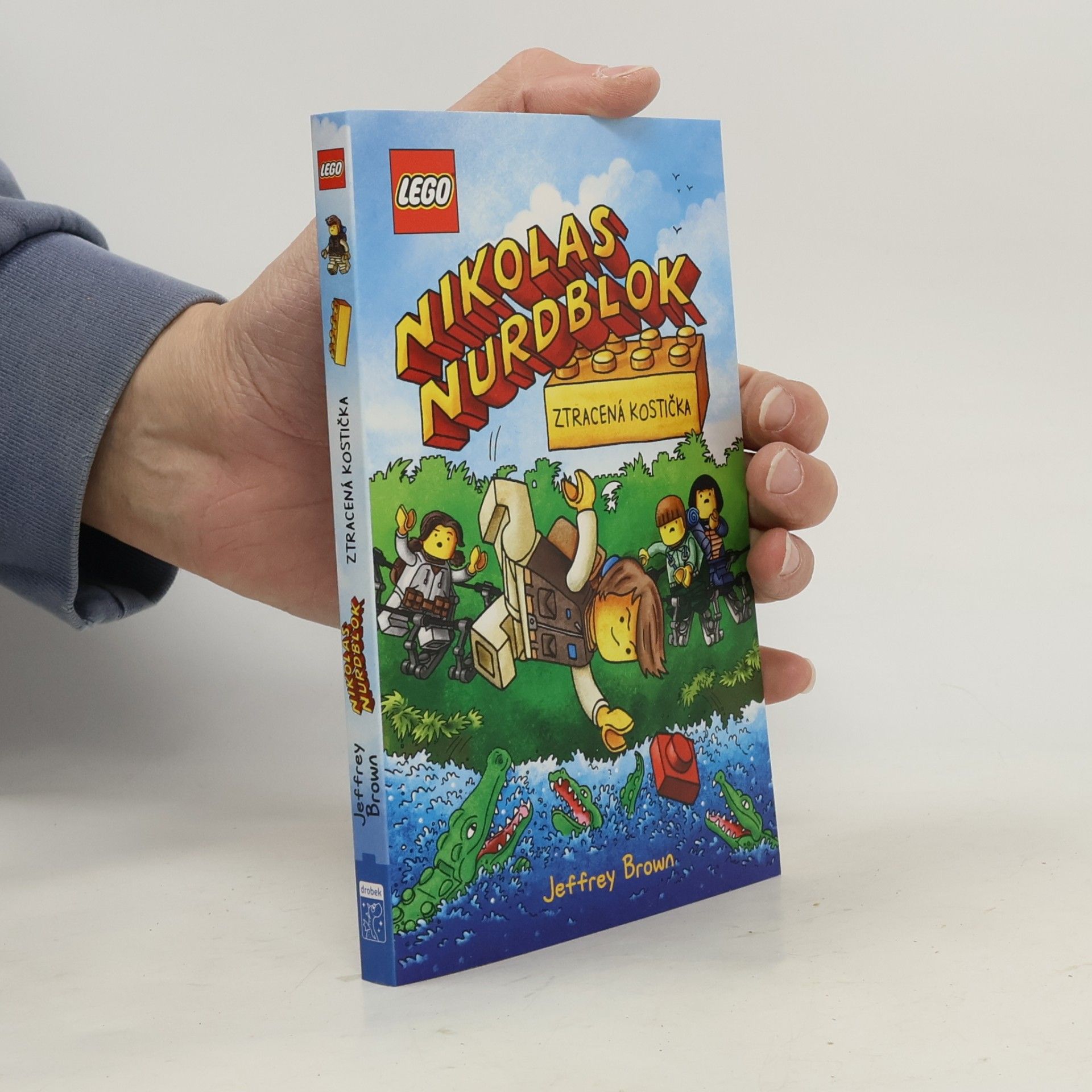 Nikolas Nurdbok: Ztracená kostička
