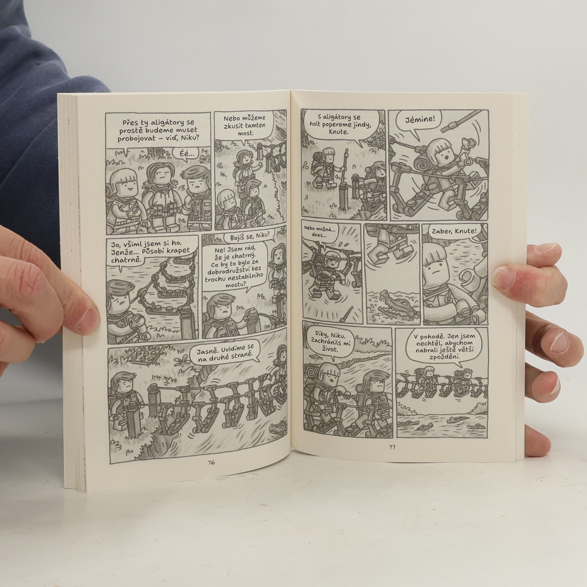 Jeffrey Brown Nikolas Nurdbok: Ztracená kostička
