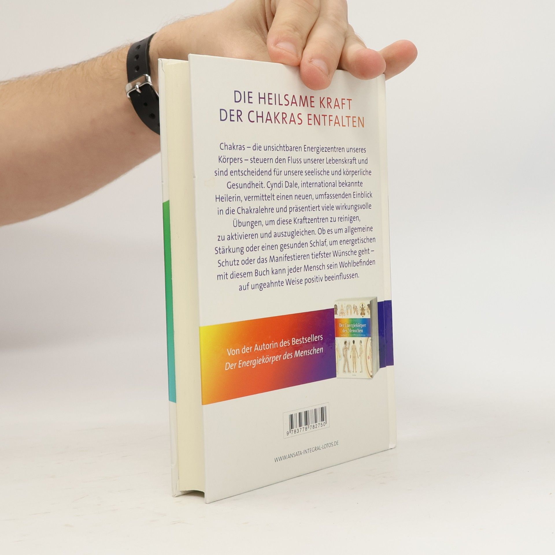Cyndi Dale Das Handbuch der CHAKRA-ARBEIT