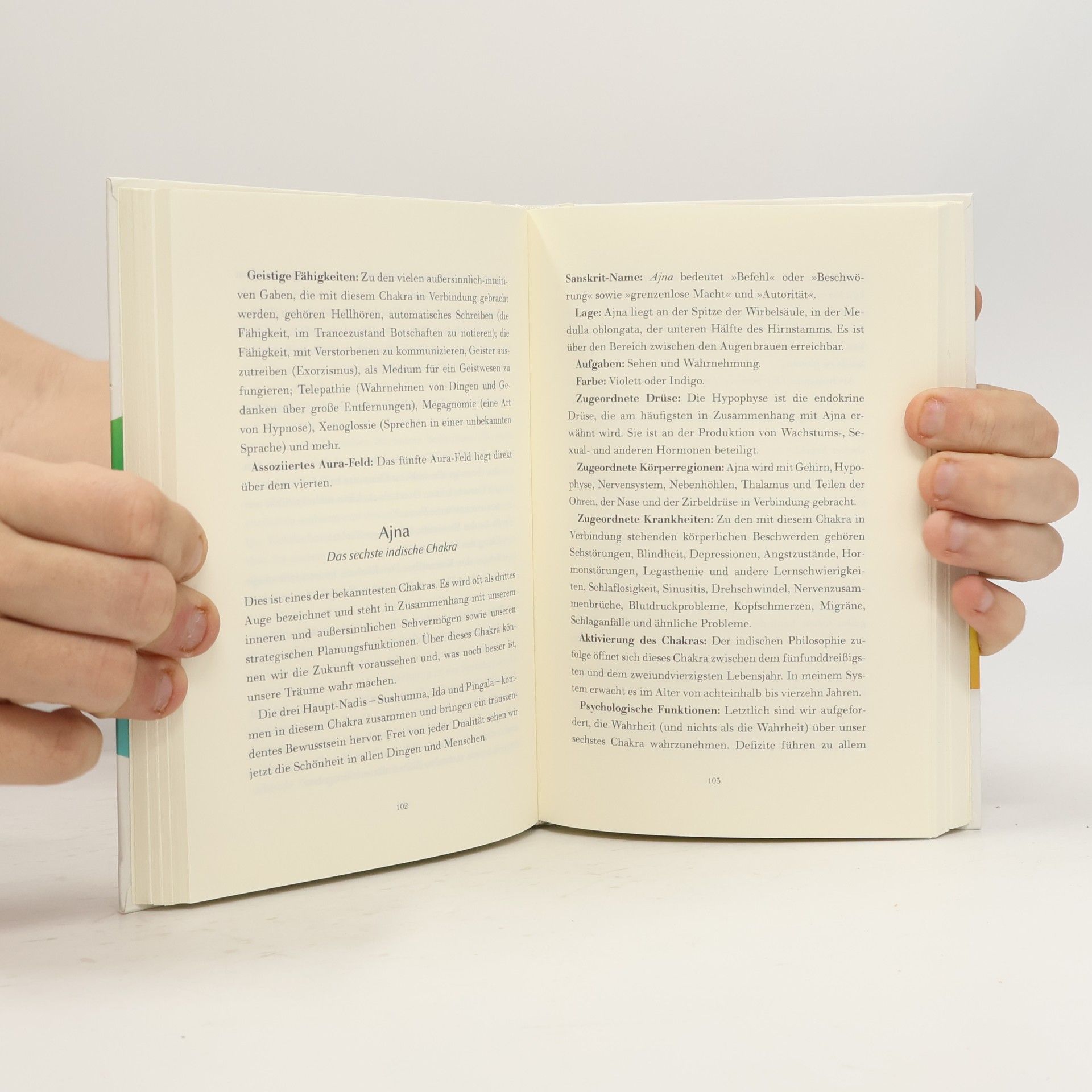 Cyndi Dale Das Handbuch der CHAKRA-ARBEIT