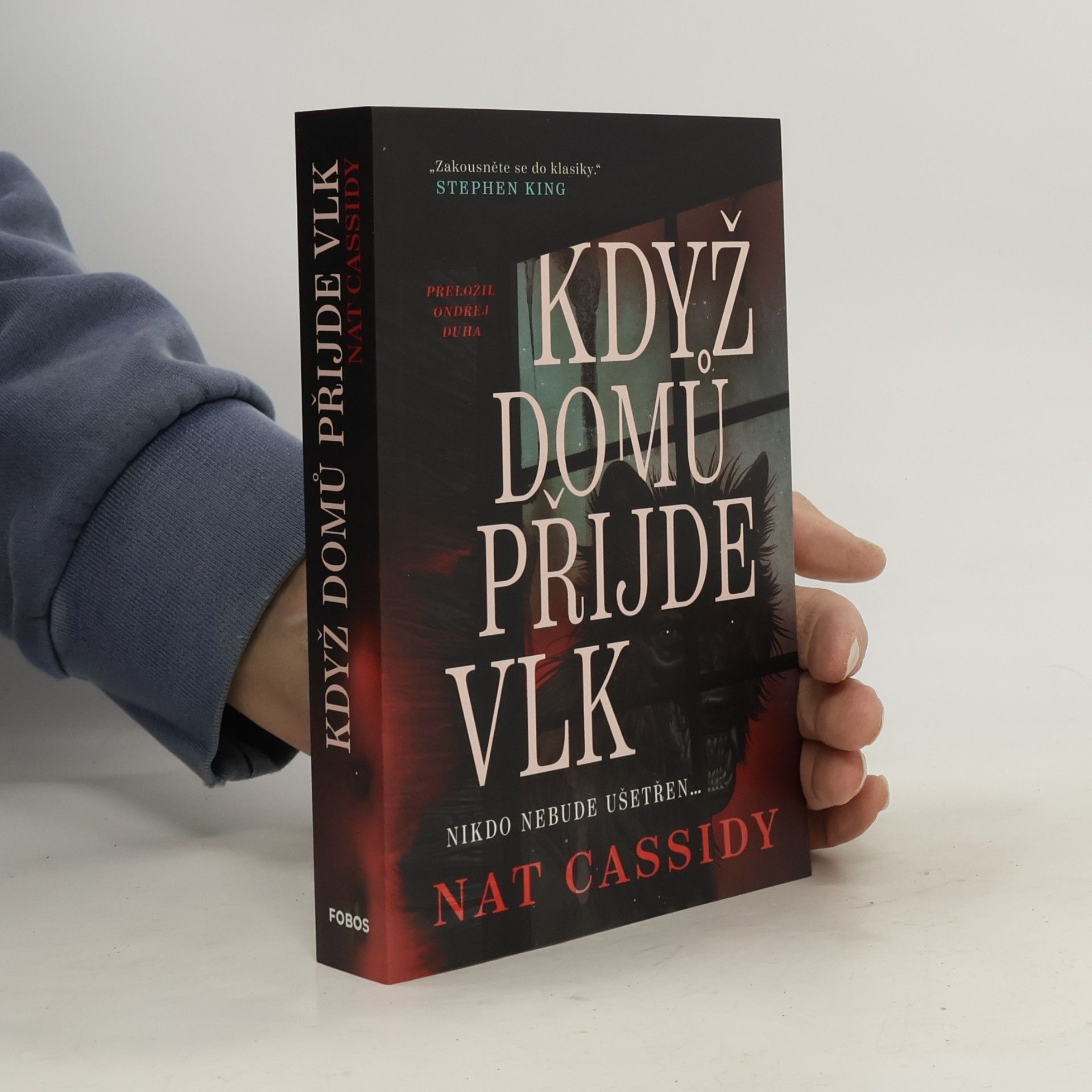 Když domů přijde vlk