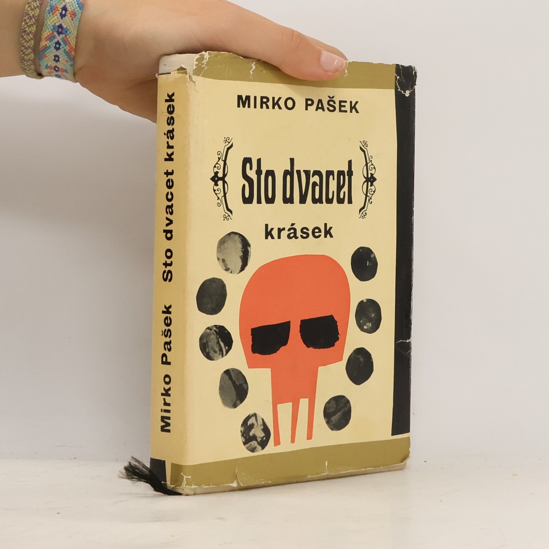 Mirko Pasek Sto dvacet krásek