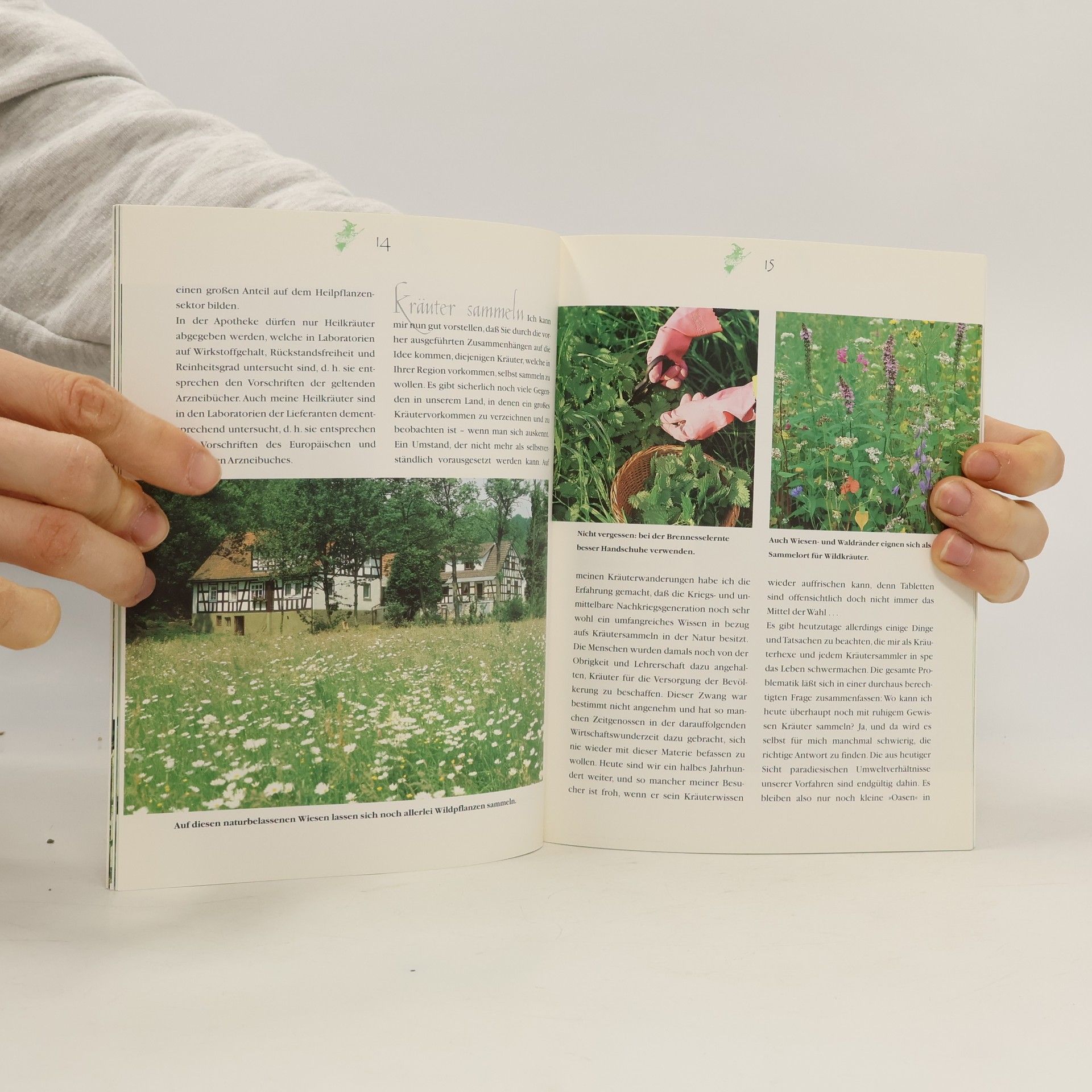 Gabriela Bickel Mein Kräuterexen buch zum Wohlfühlen