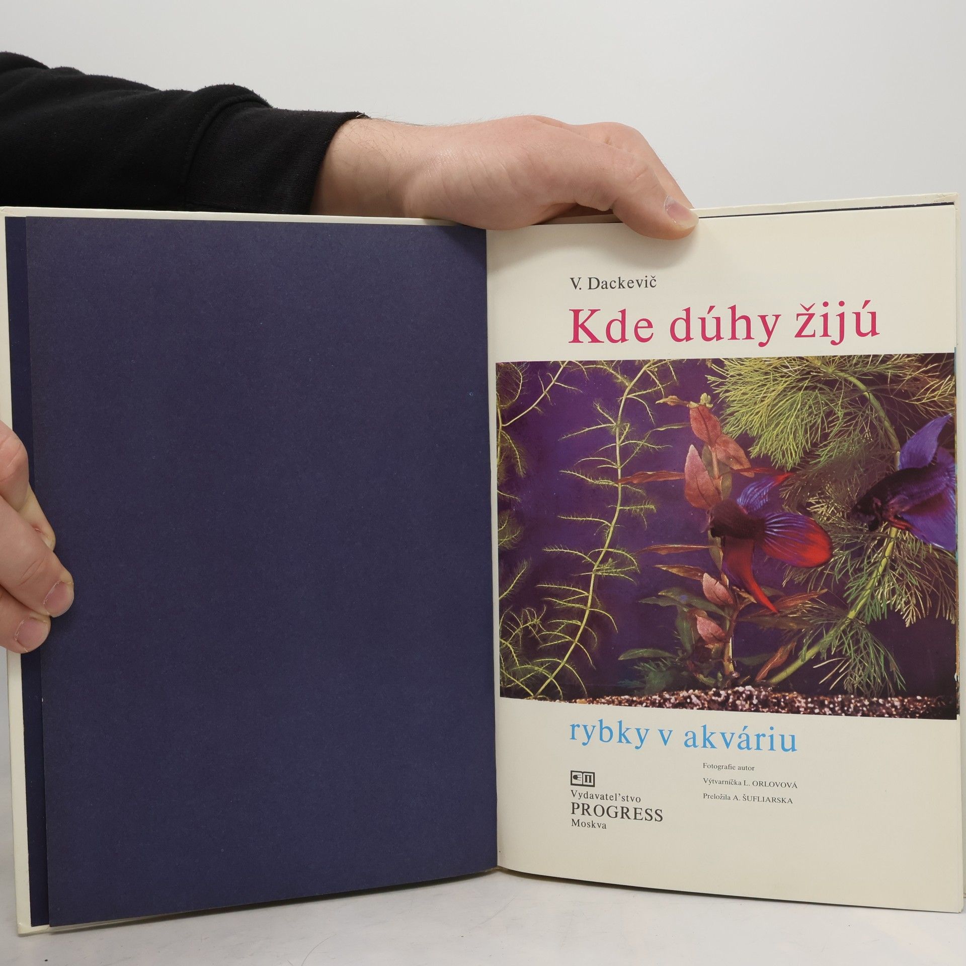 V. Dackevič Kde dúhy žijú rybky v akváriu