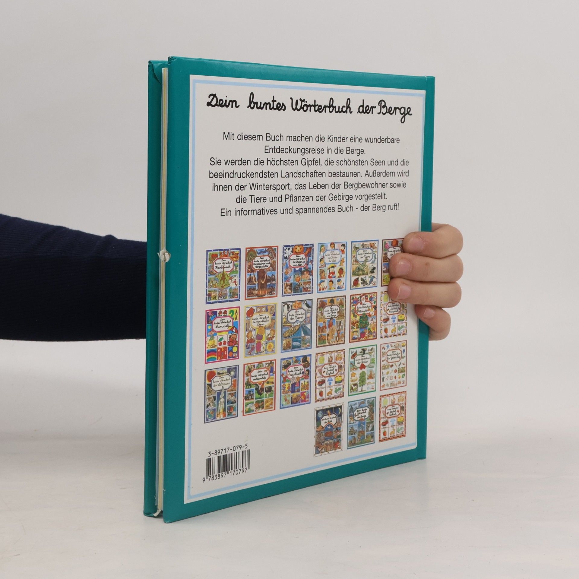 Émilie Beaumont Dein buntes Wörterbuch der Berge
